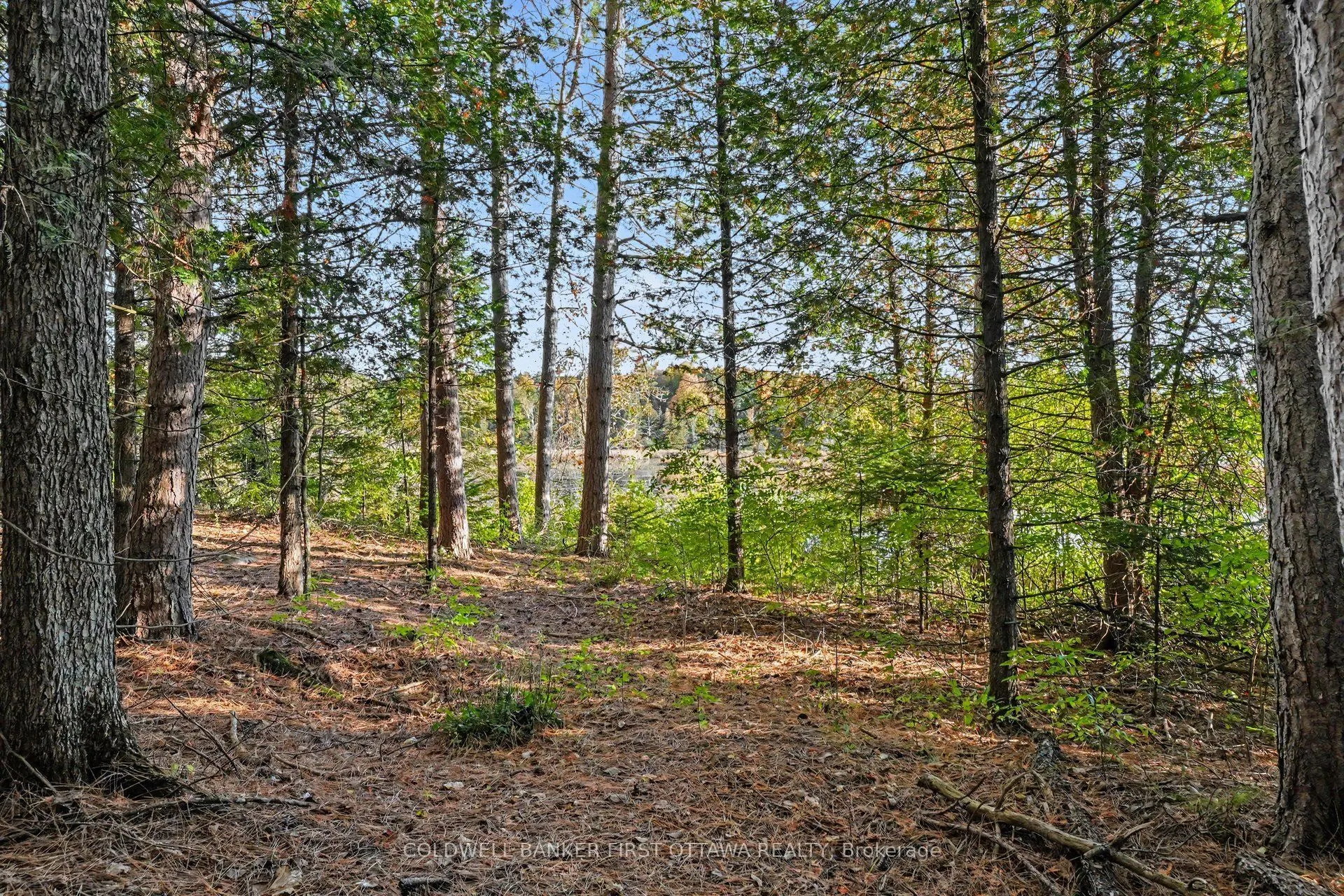 00 Fallbrook Road