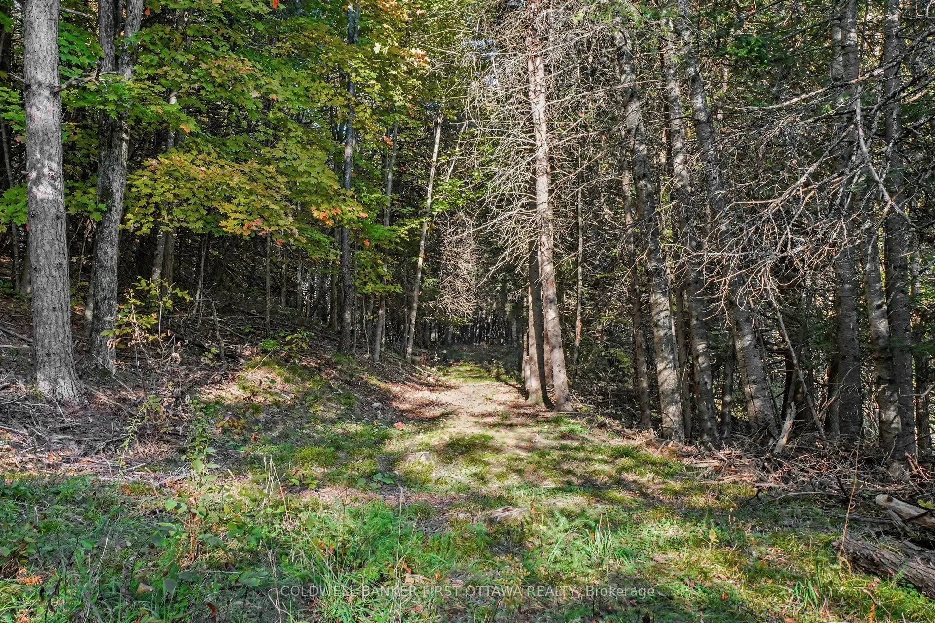 00 Fallbrook Road