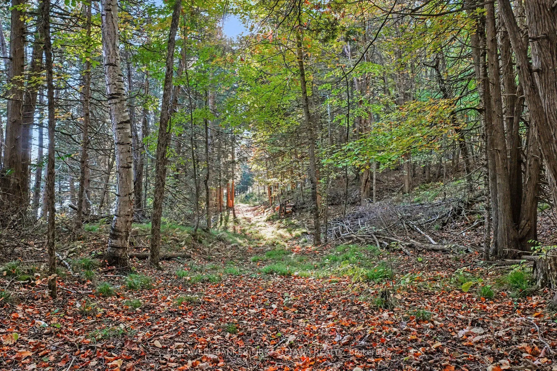00 Fallbrook Road