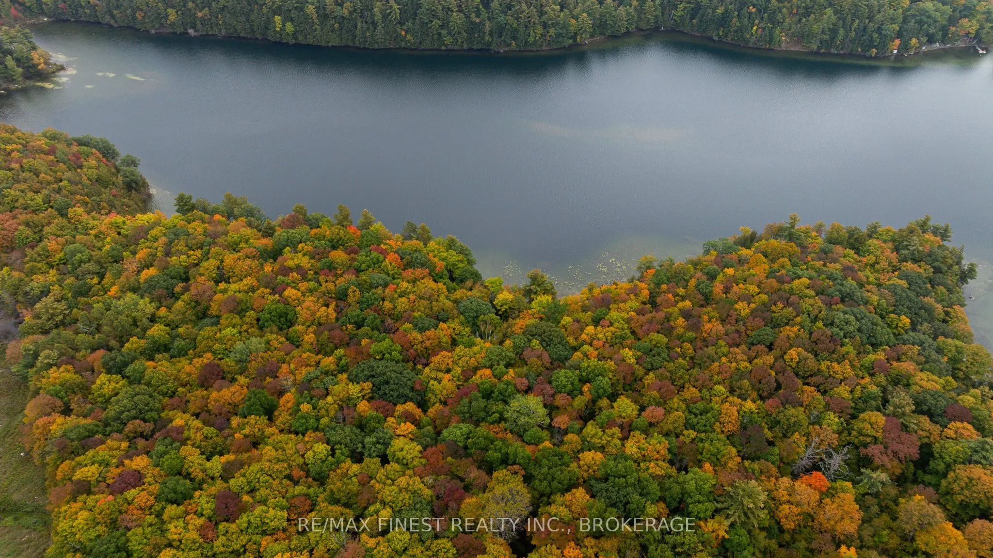 100A Fitzgerald Road