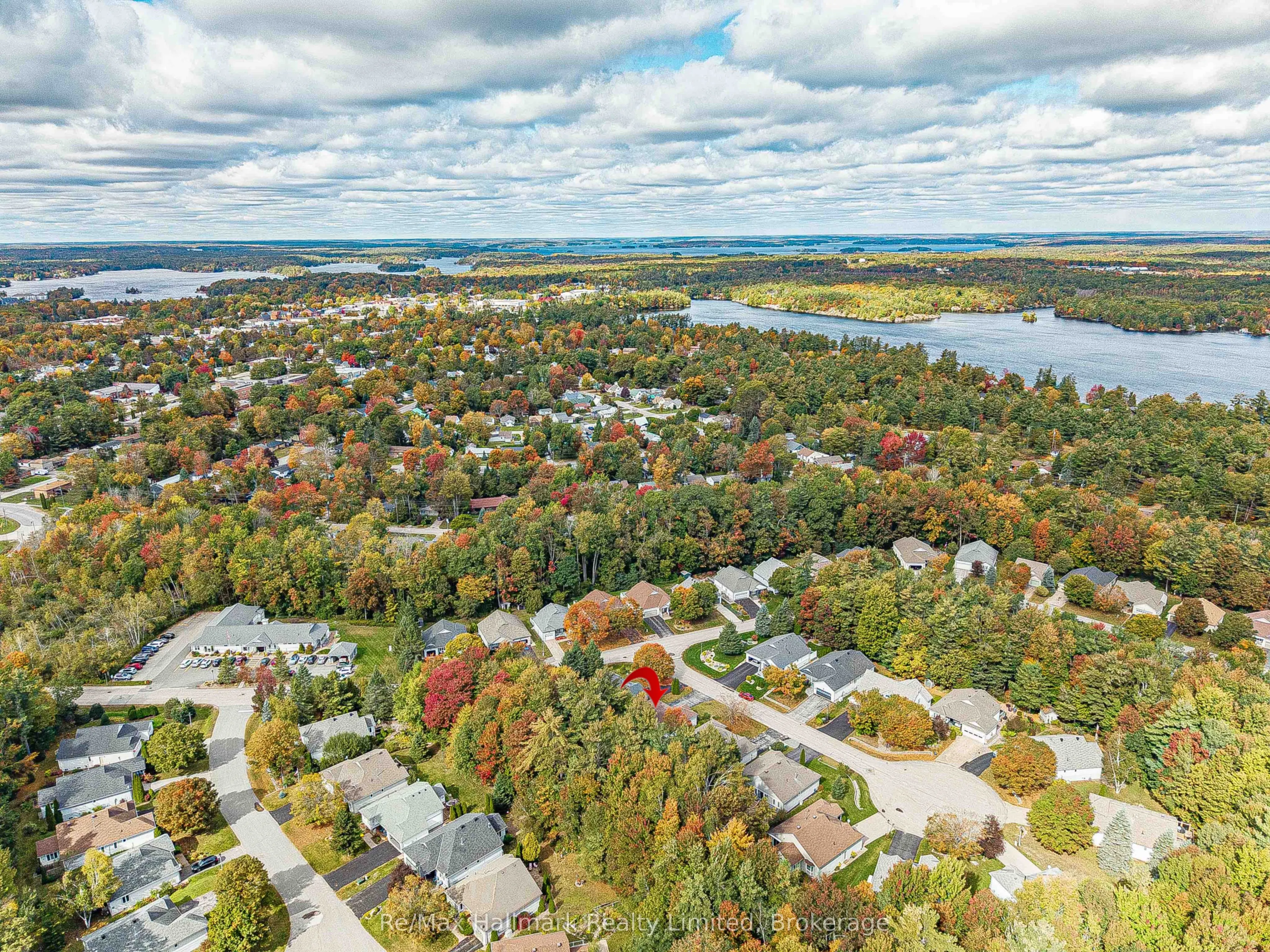 3 Woods Hollow