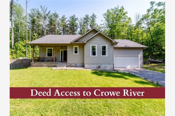 51 Pine Grove Road