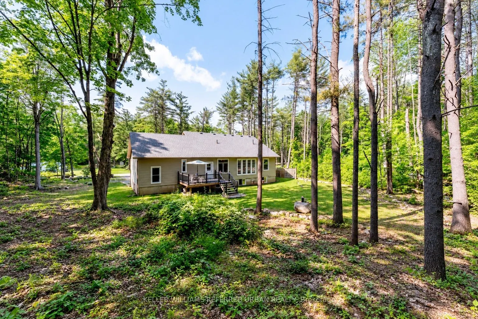 51 Pine Grove Road