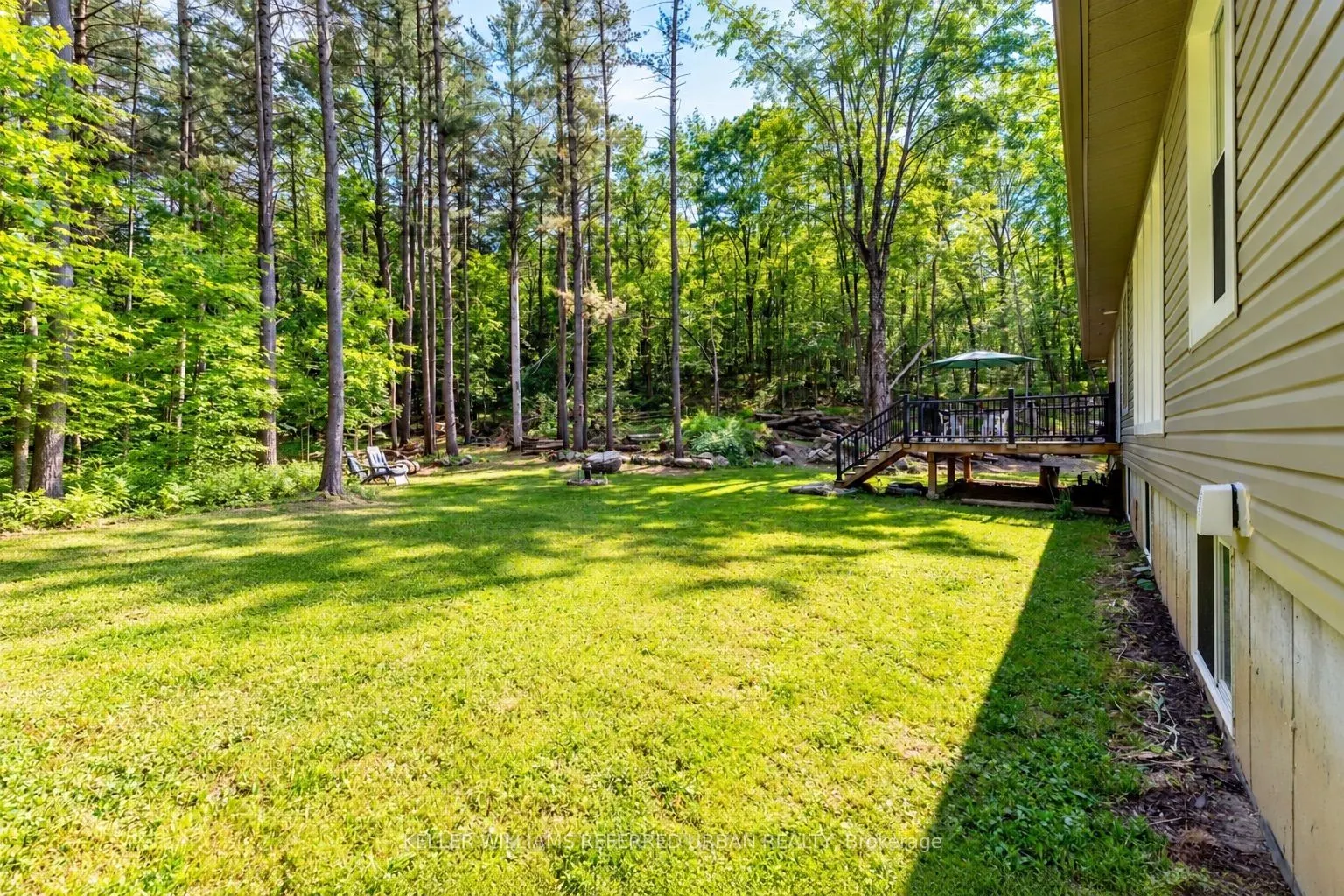 51 Pine Grove Road