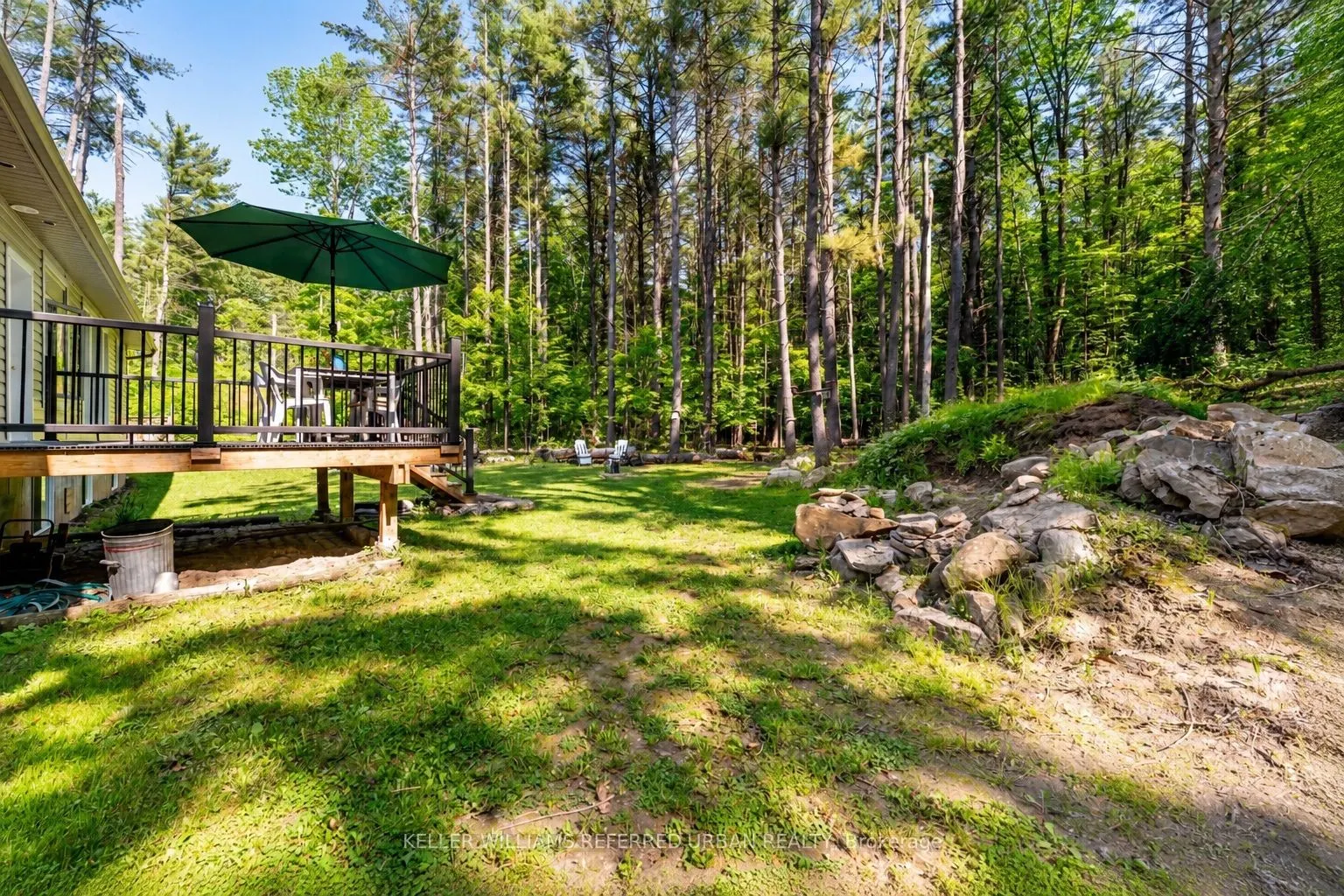 51 Pine Grove Road
