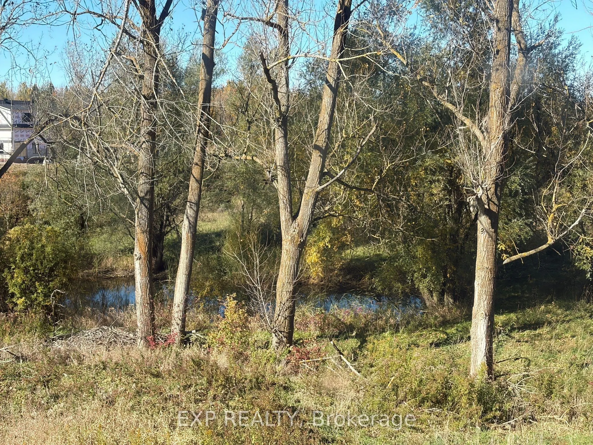 485525 30th Side Road S