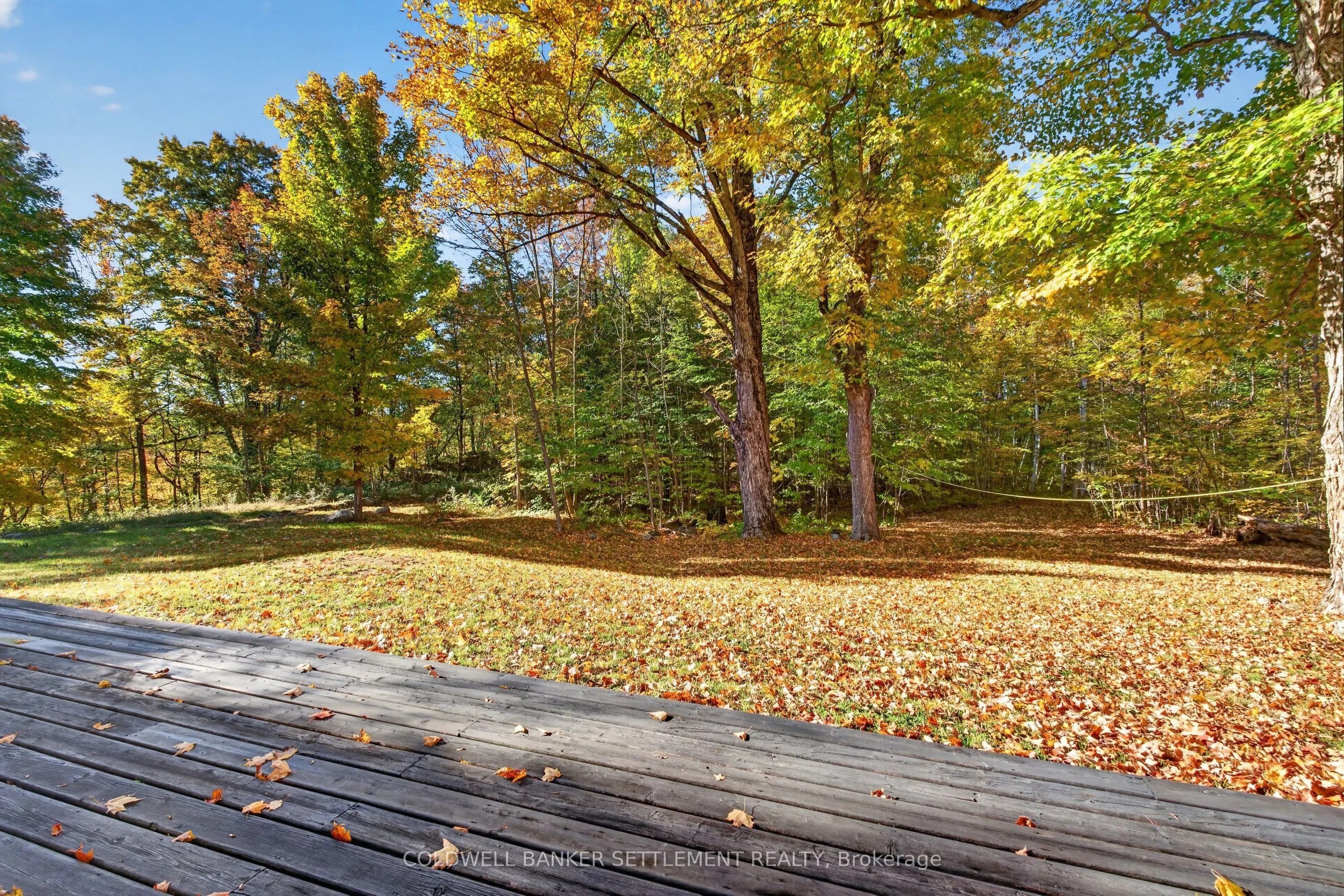 1135 Green Bay Road