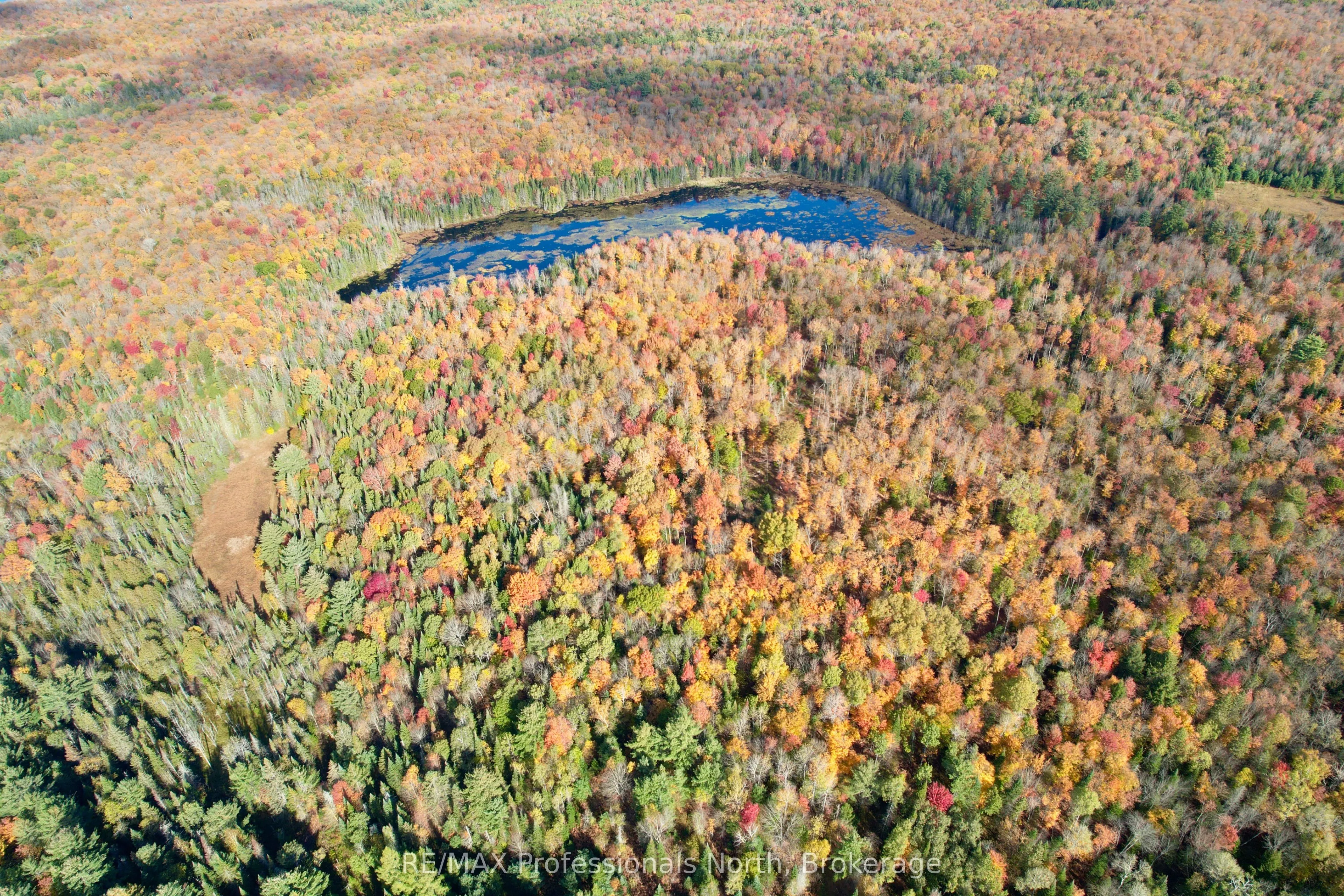 862 Lynx Lake Rd Road