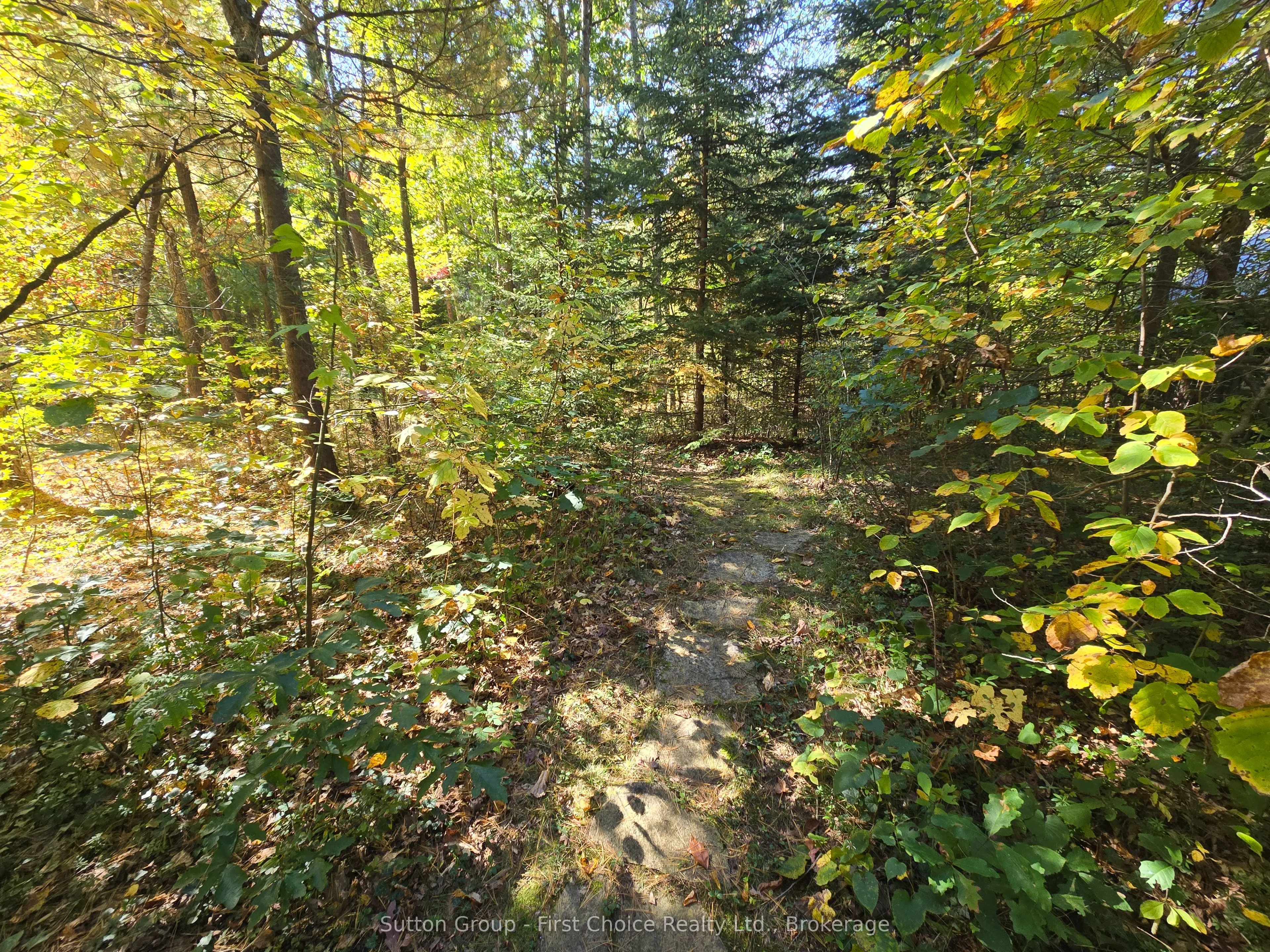 10010 The Trail