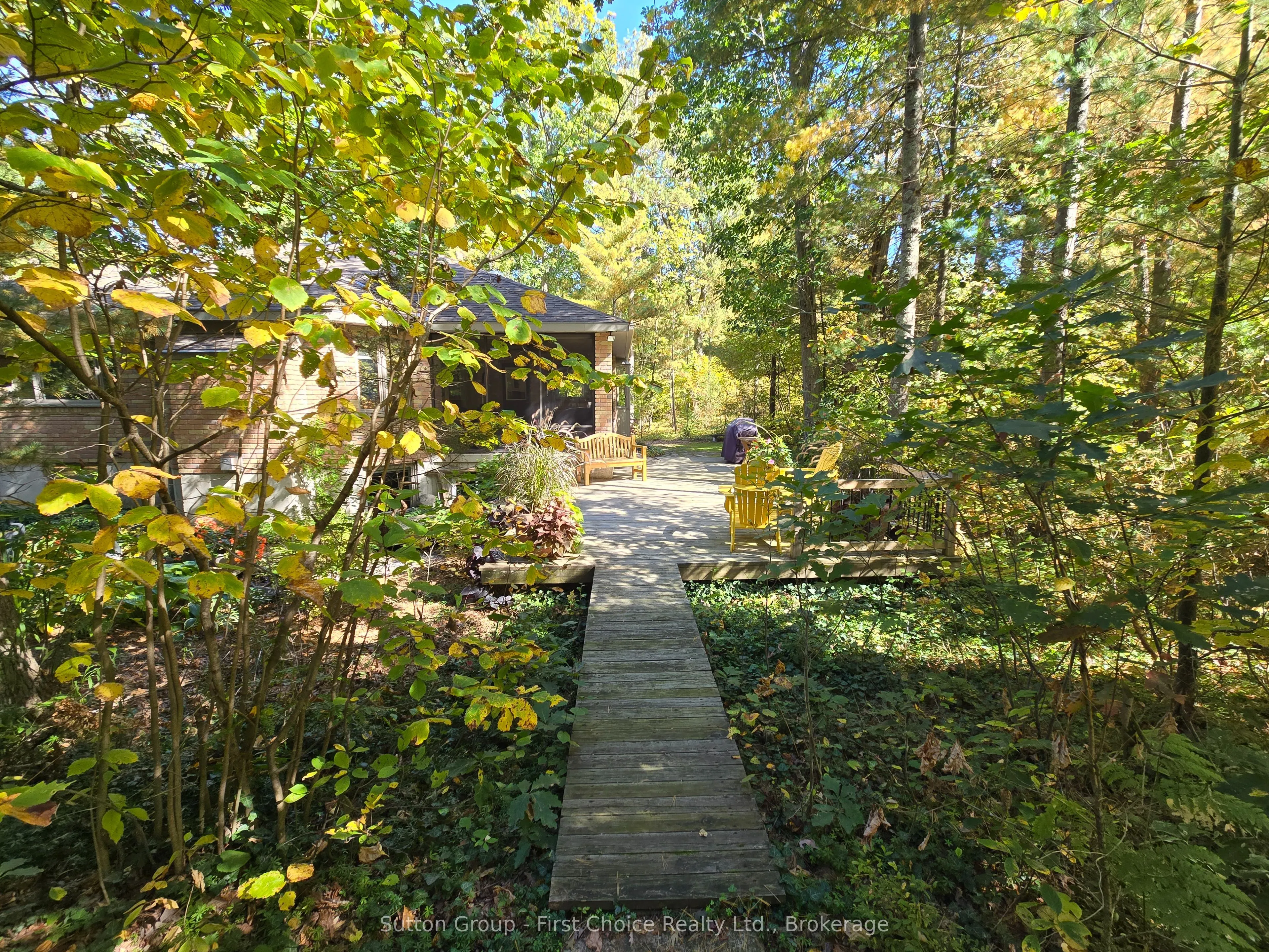 10010 The Trail