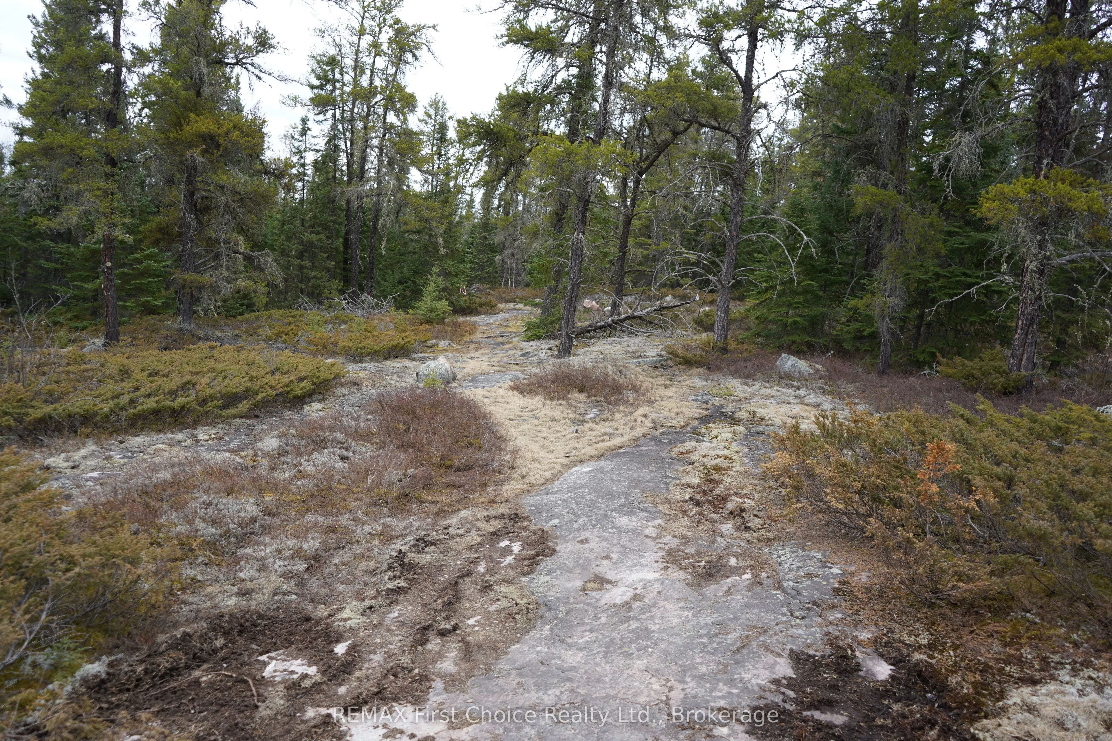Lot 7 Gunn Lake Road #7
