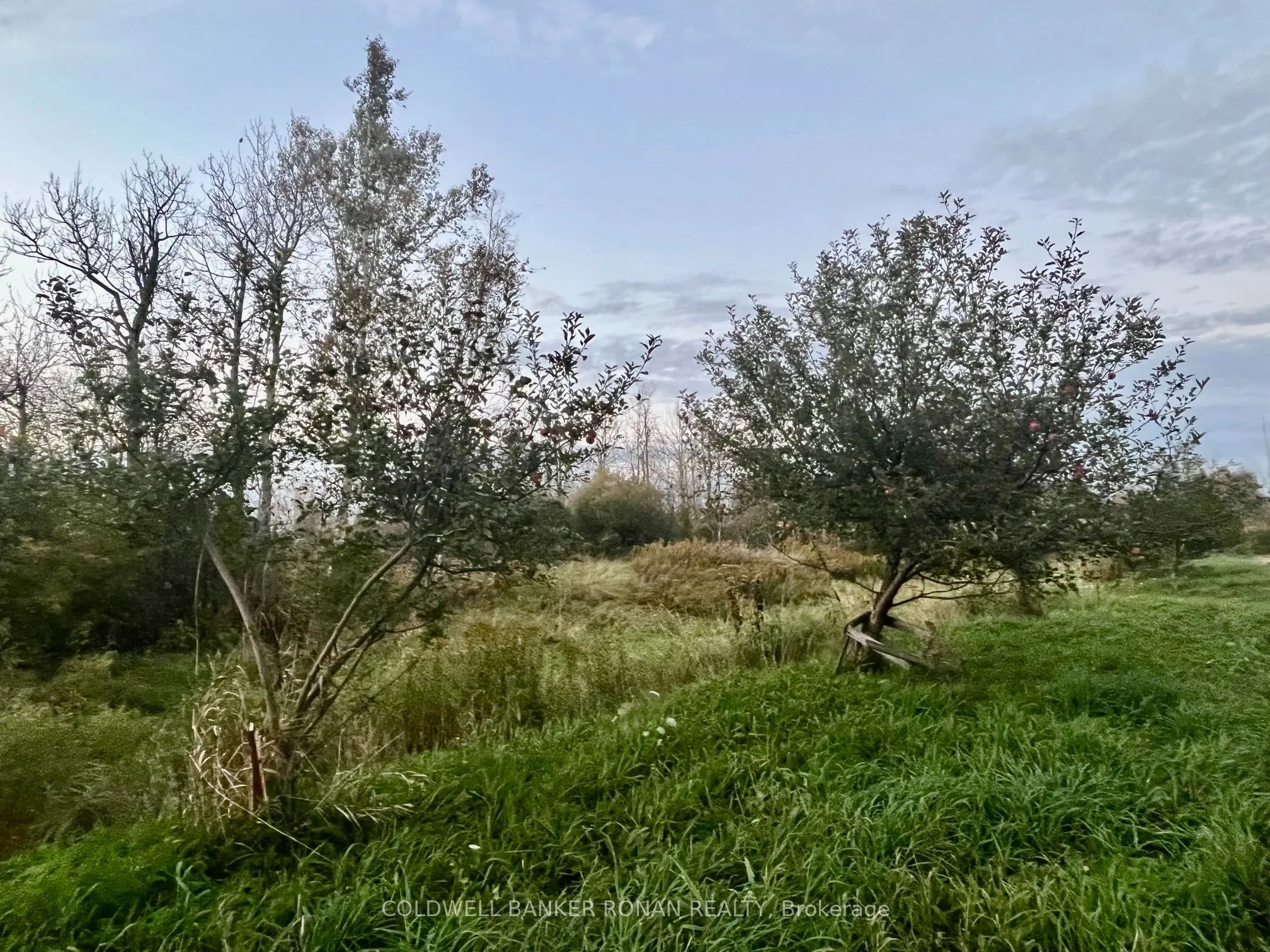345198 15 Side Road