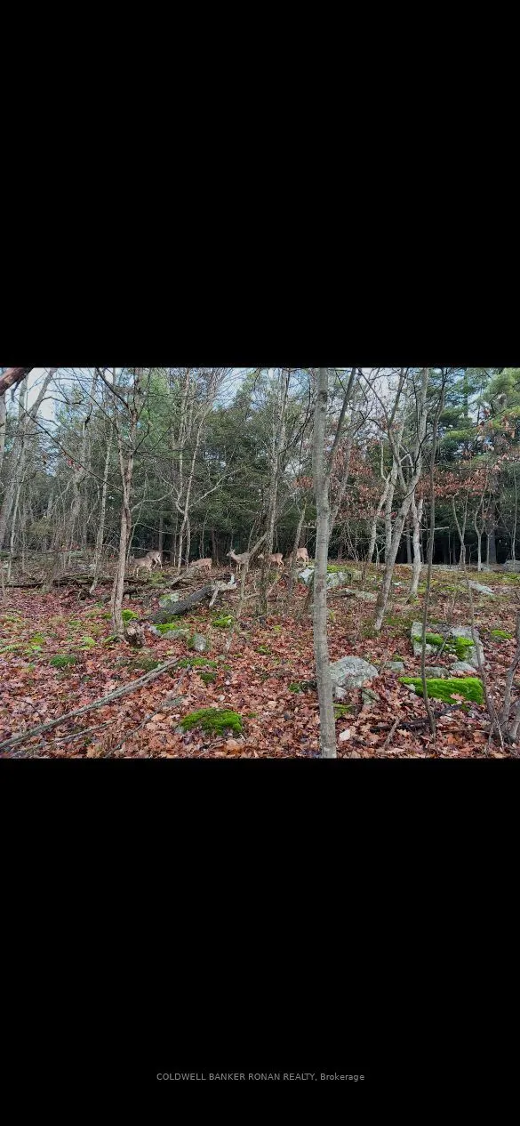 345198 15 Side Road