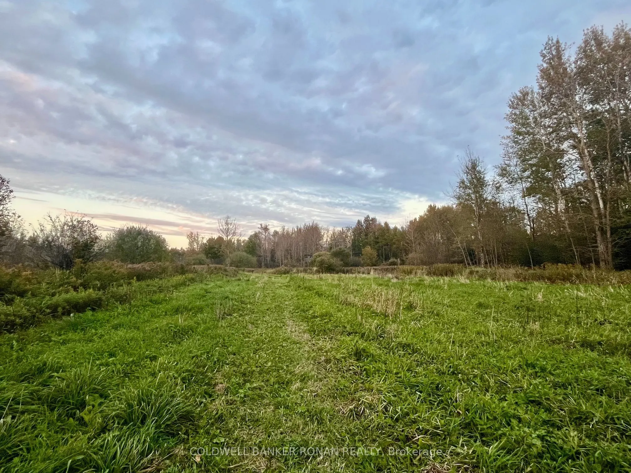 345198 15 Side Road