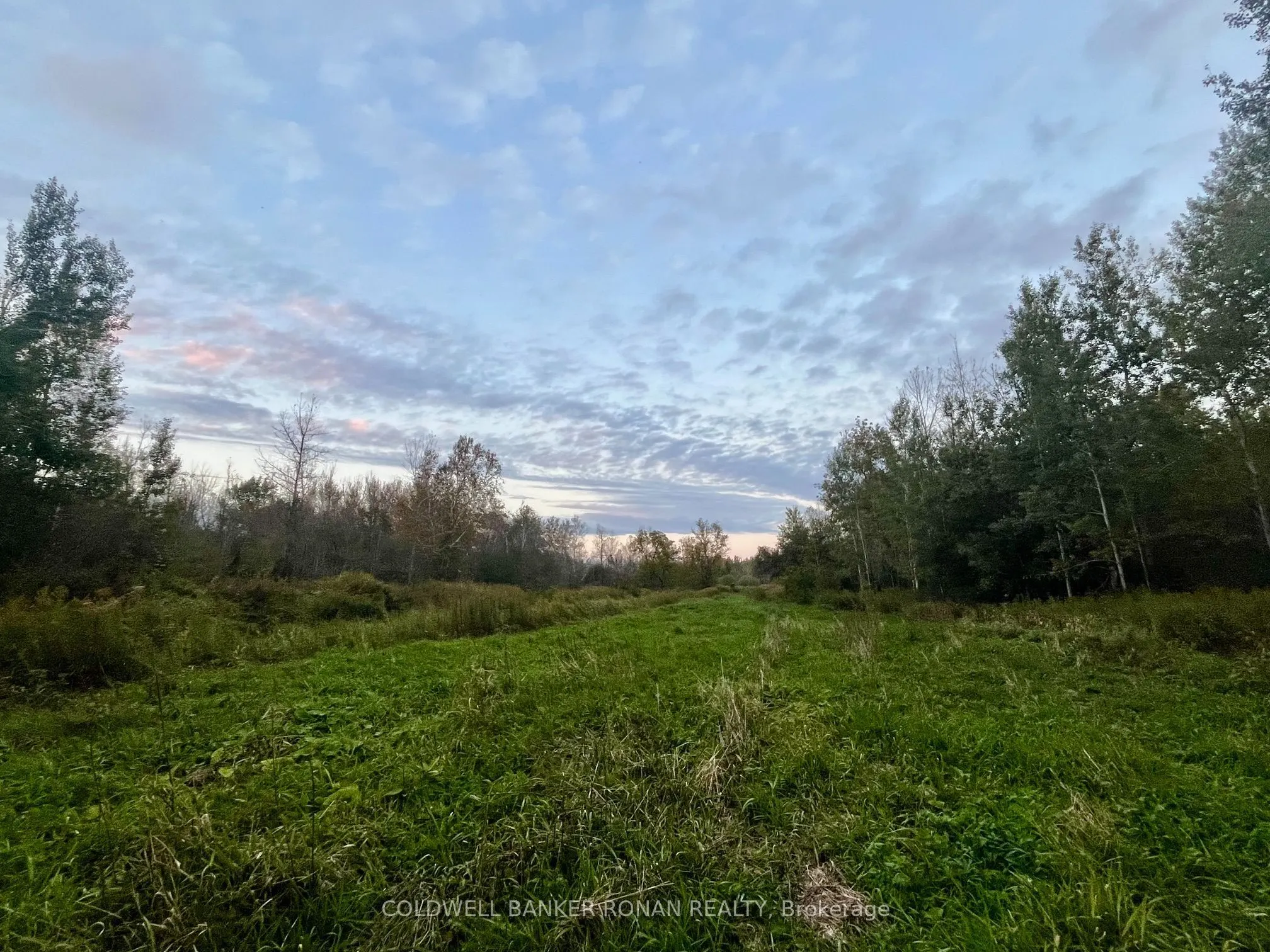 345198 15 Side Road