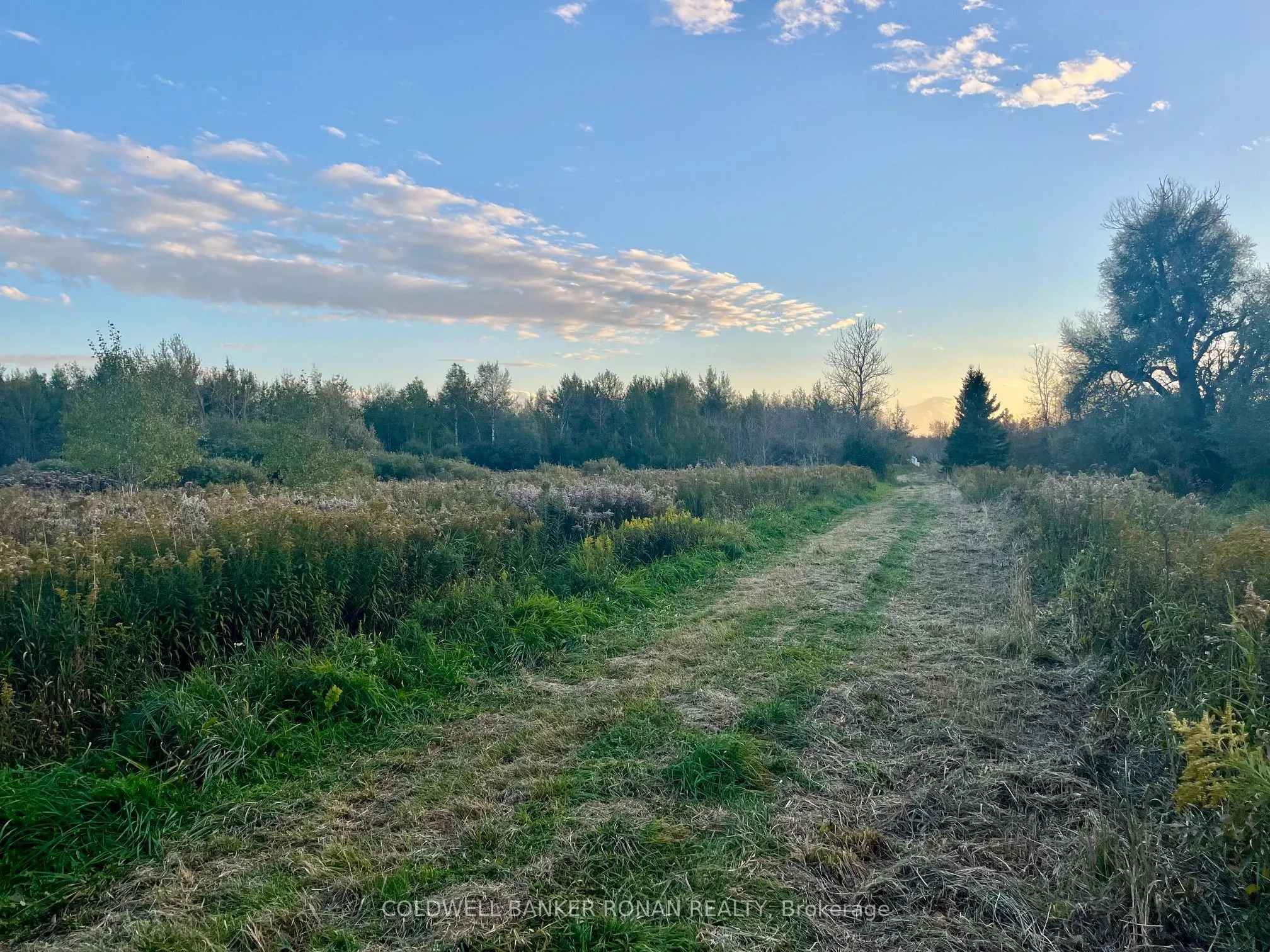 345198 15 Side Road