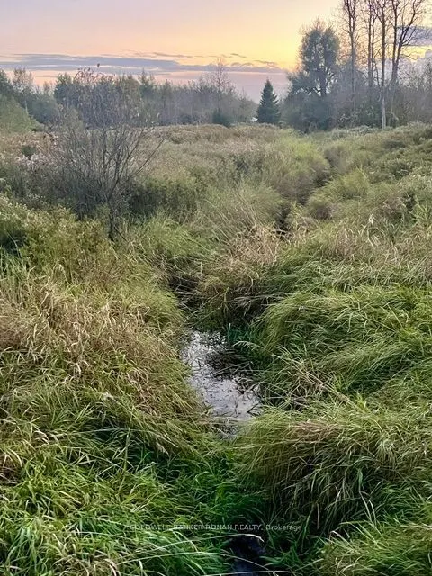 345198 15 Side Road