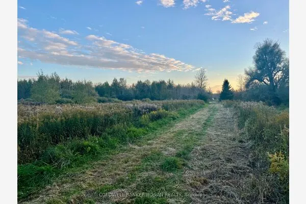 345198 15 Side Road