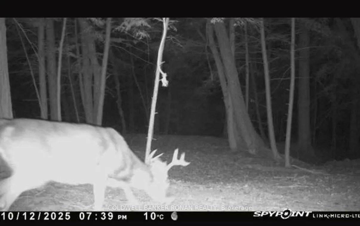 345198 15 Side Road