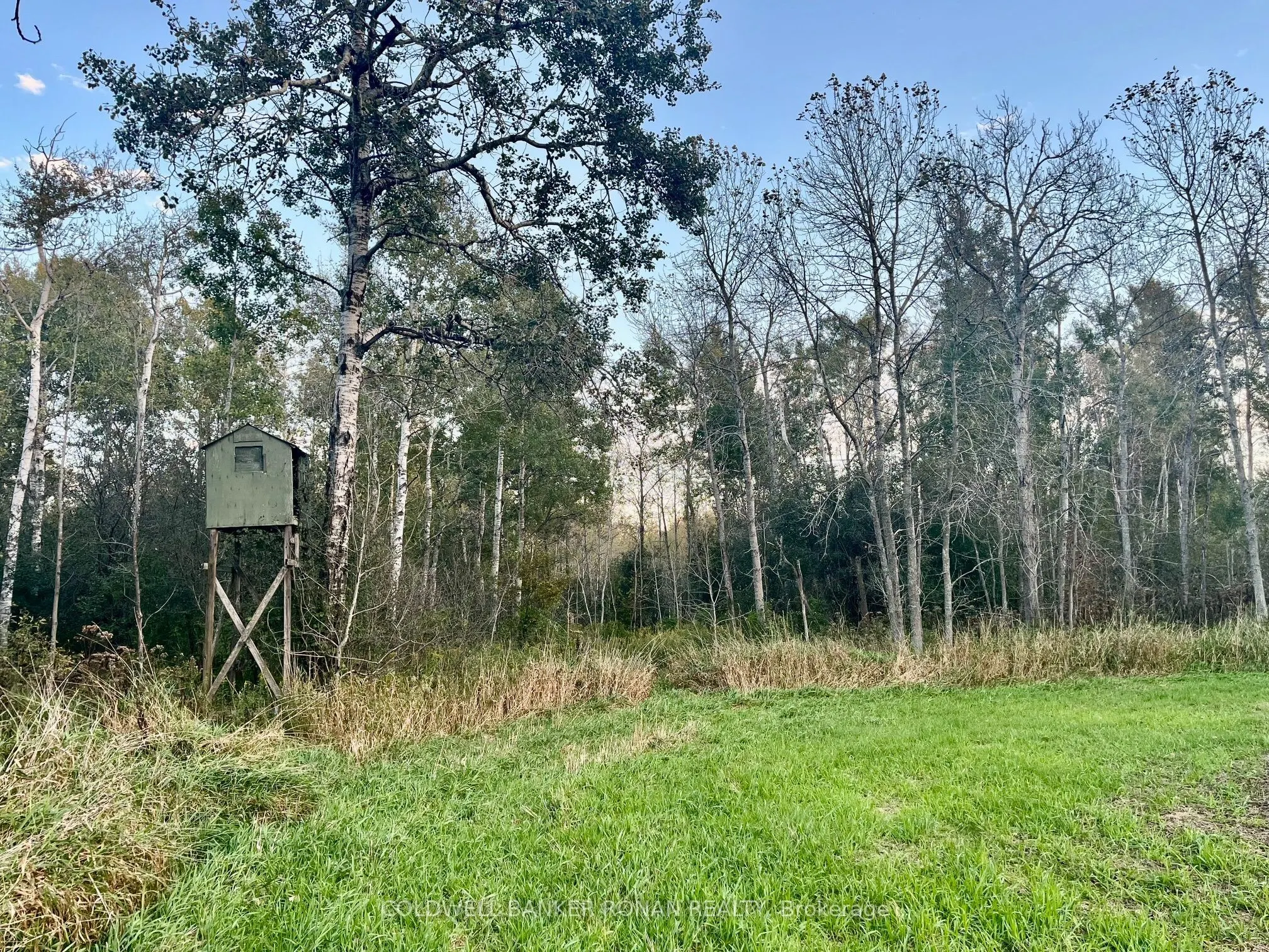 345198 15 Side Road