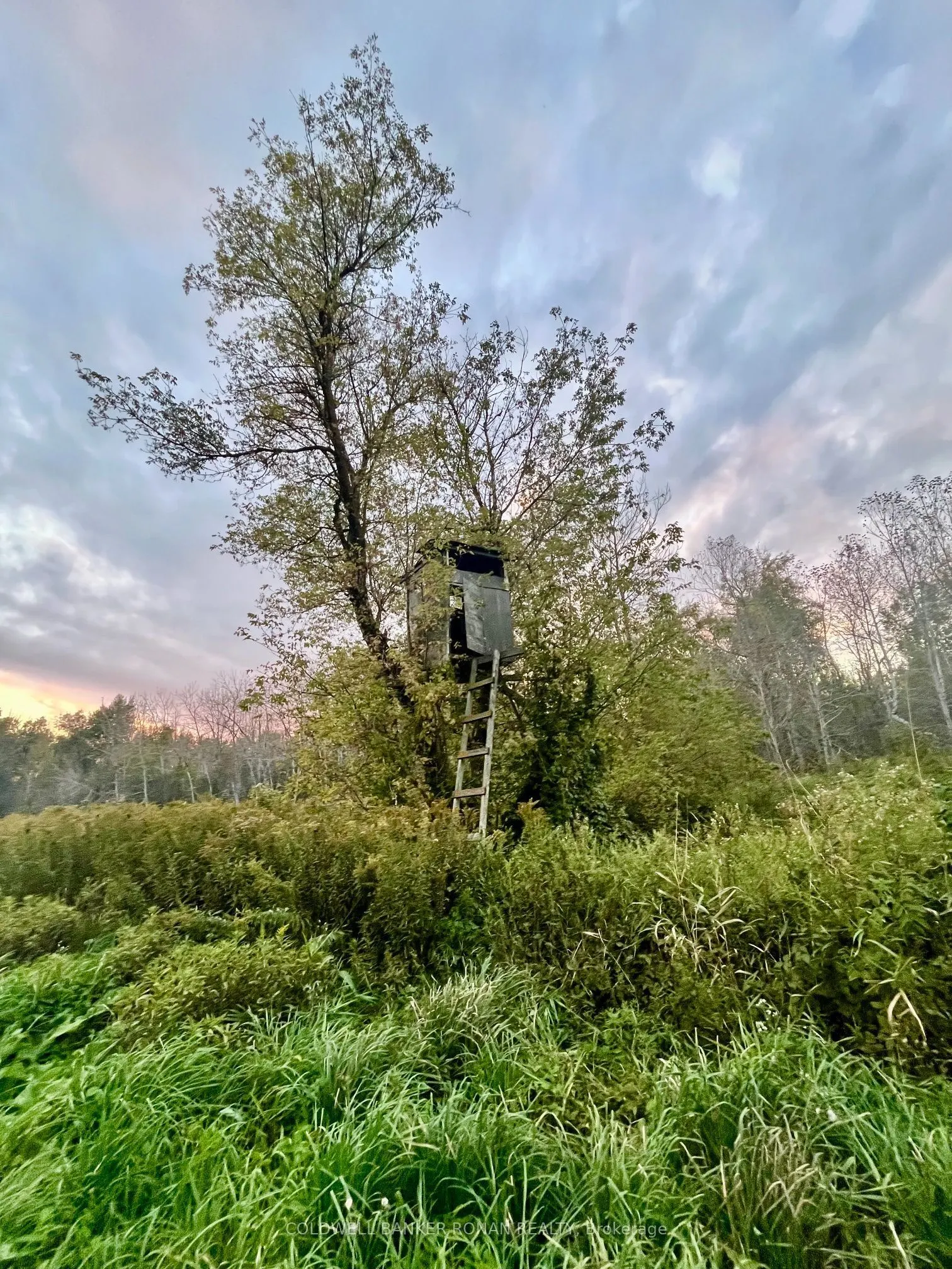 345198 15 Side Road