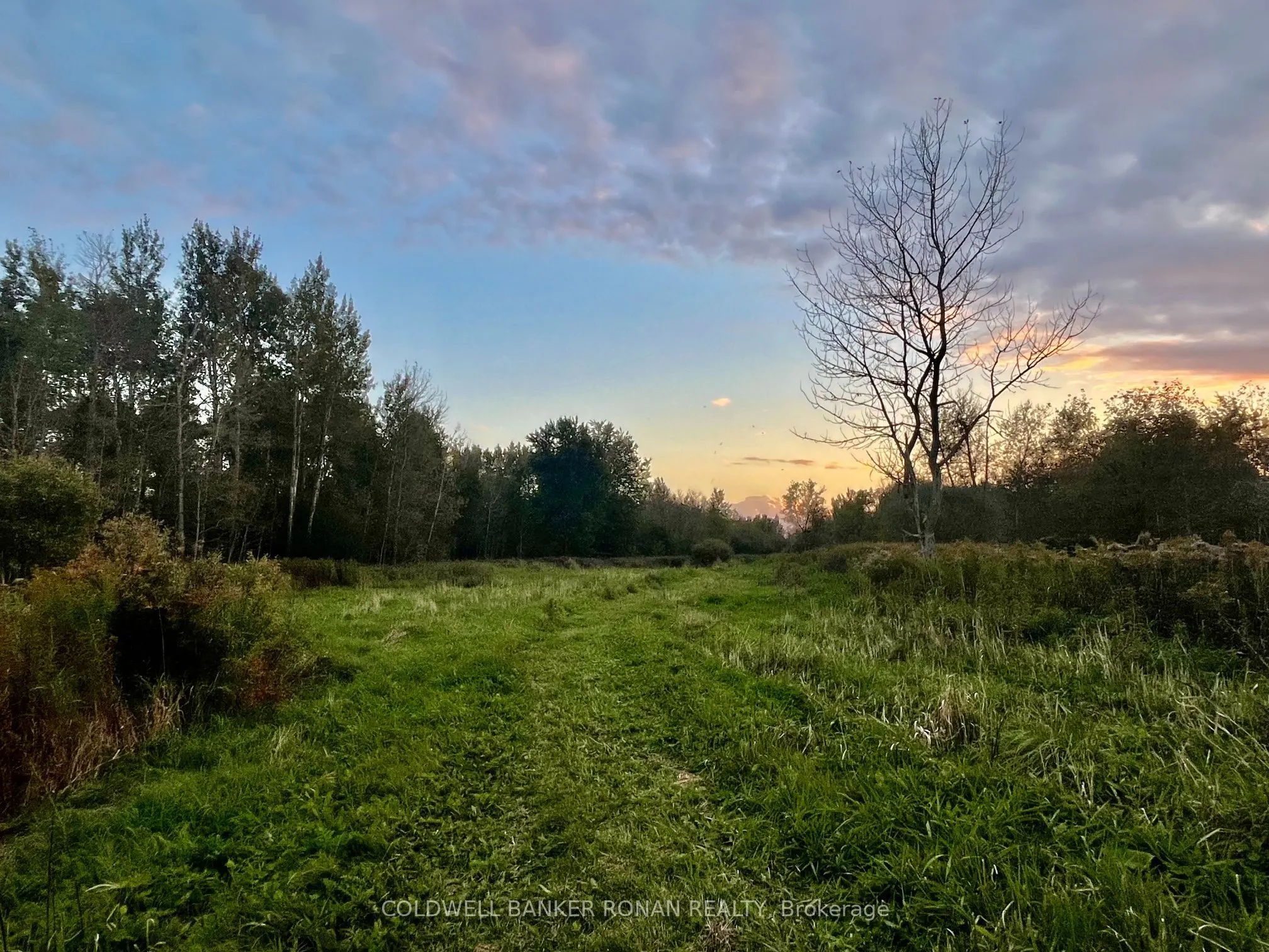 345198 15 Side Road