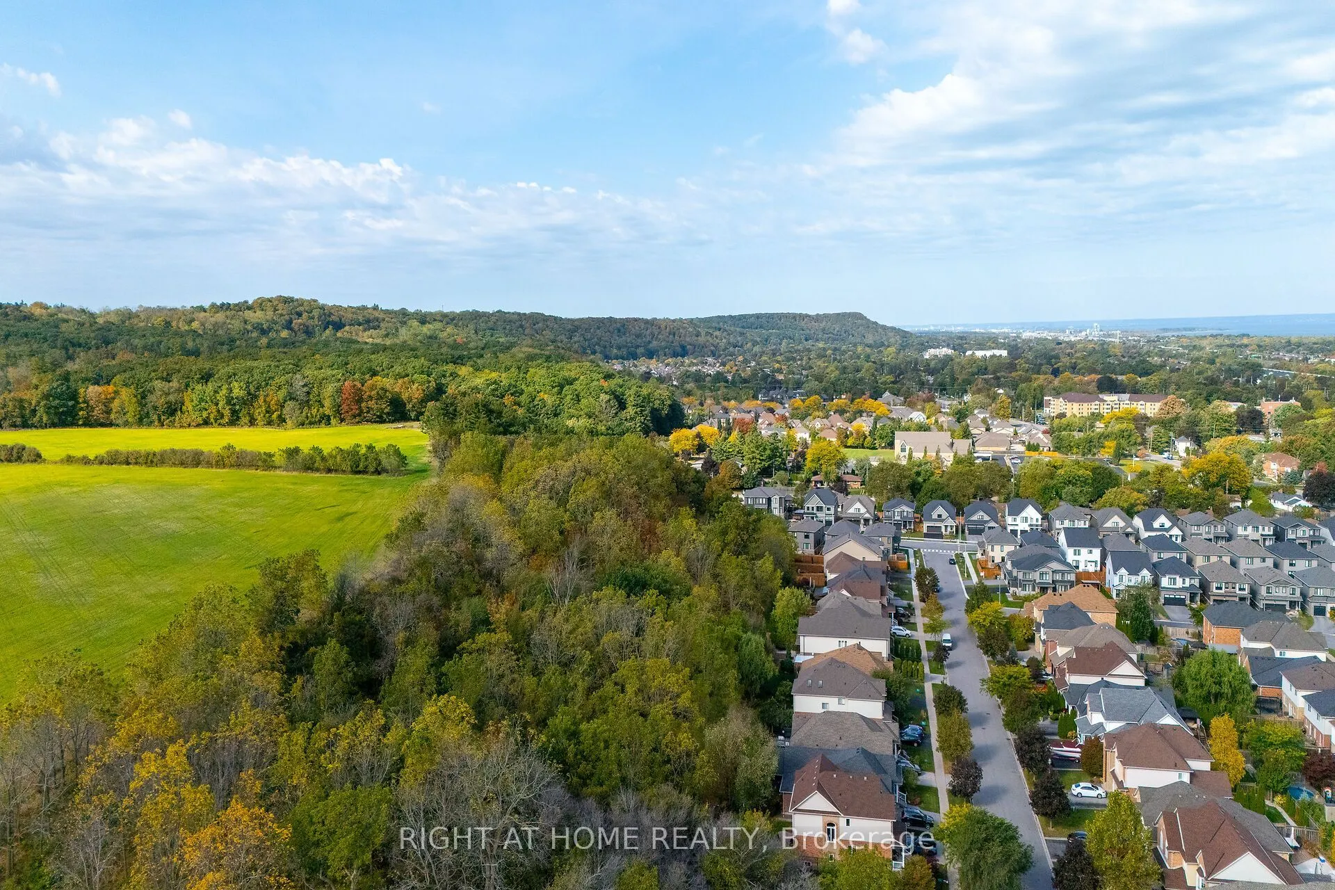 54 Vinifera Drive