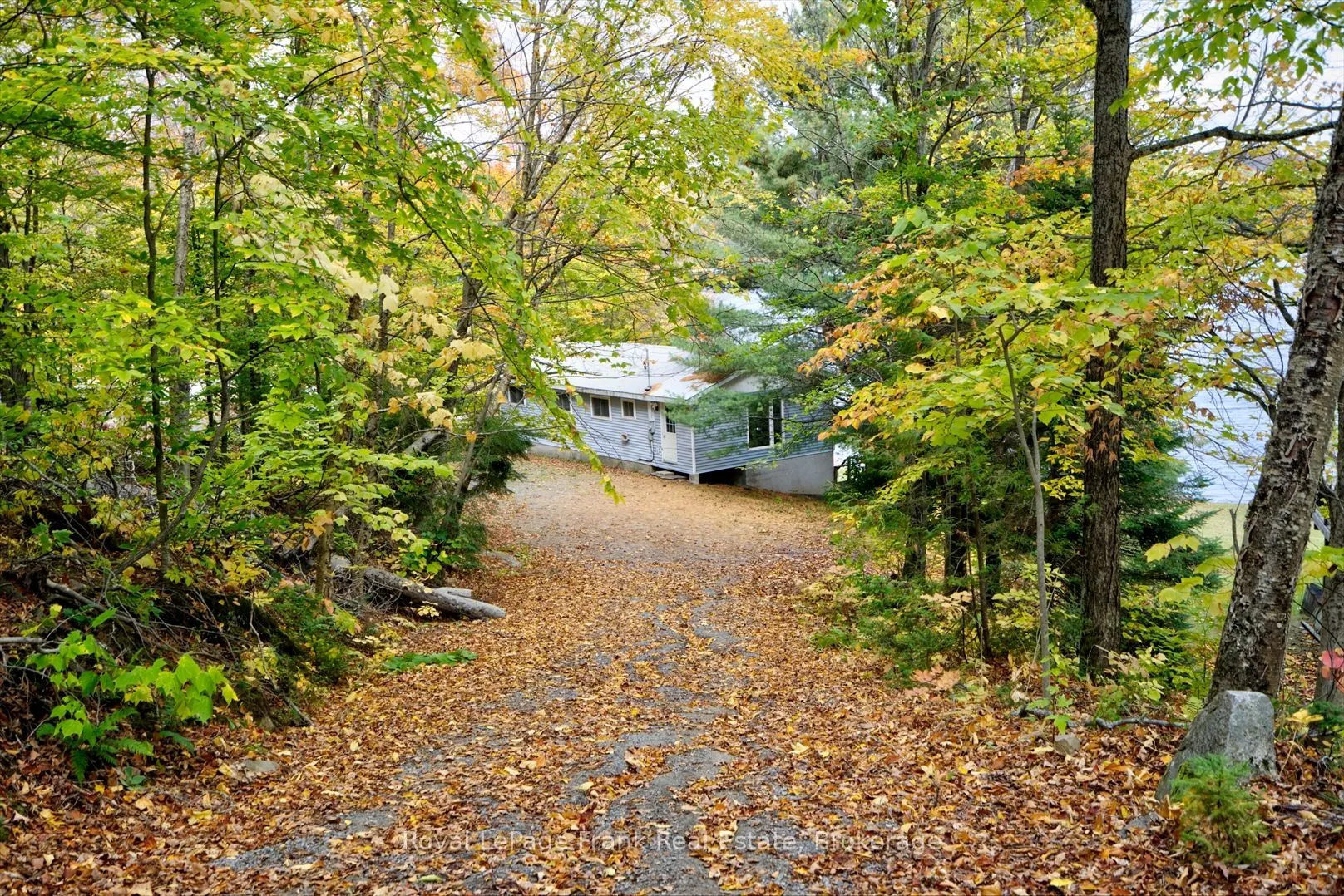 231 West Diamond Lake Road