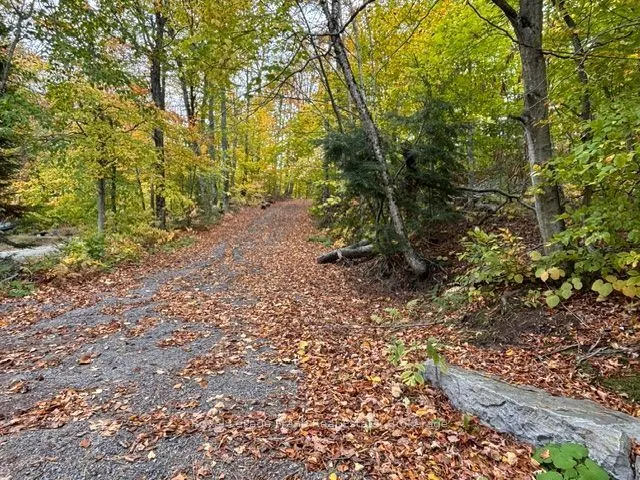 231 West Diamond Lake Road