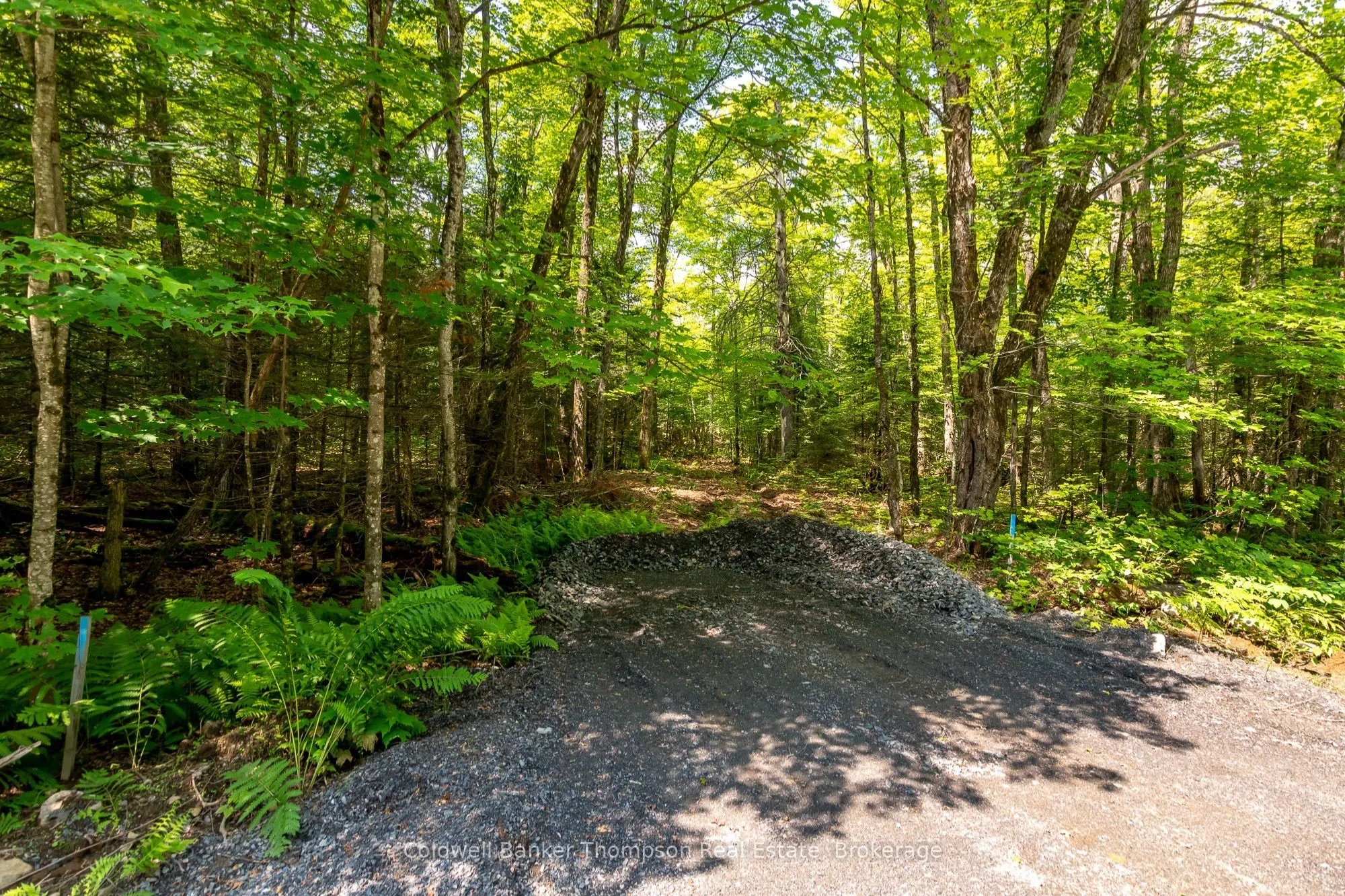162 Ely Side Road