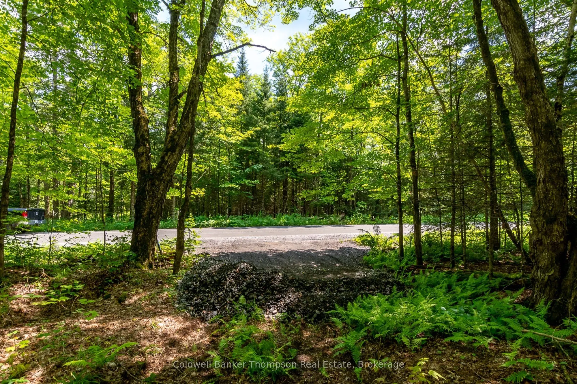 162 Ely Side Road