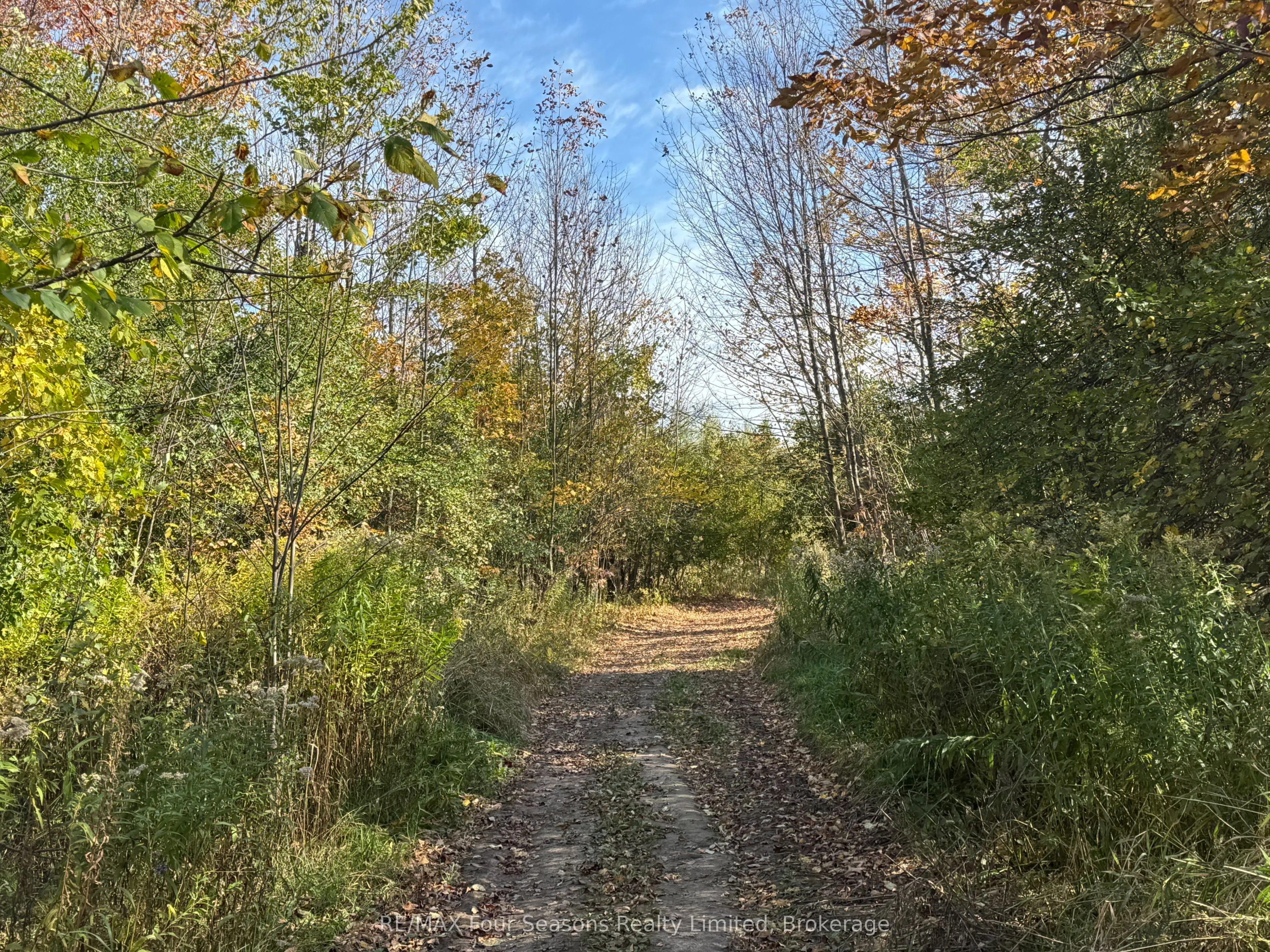 North 1/2 Lot 25 St Vincent Sydenham Townline N
