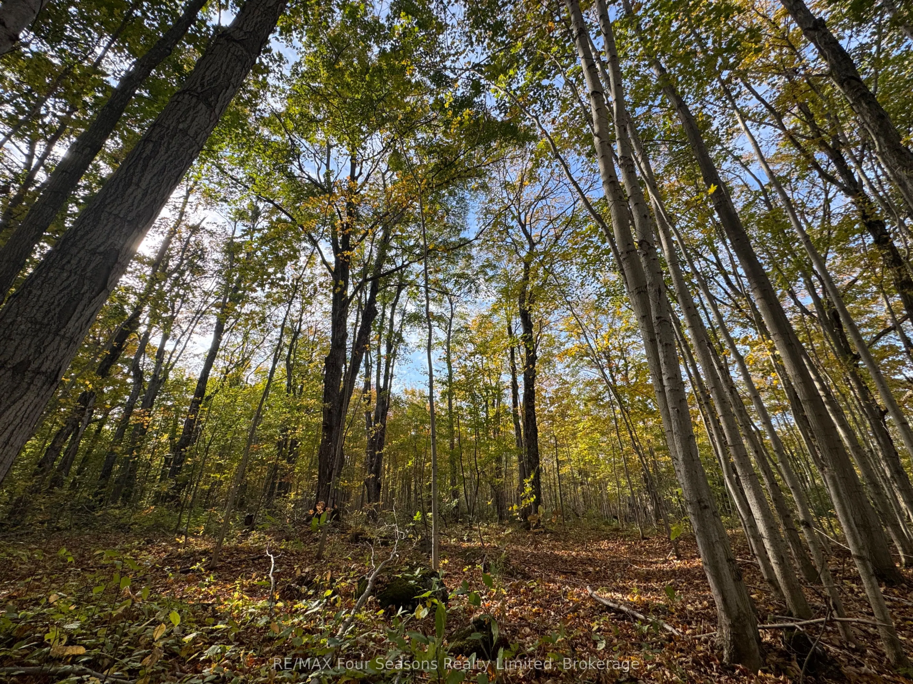 North 1/2 Lot 25 St Vincent Sydenham Townline N
