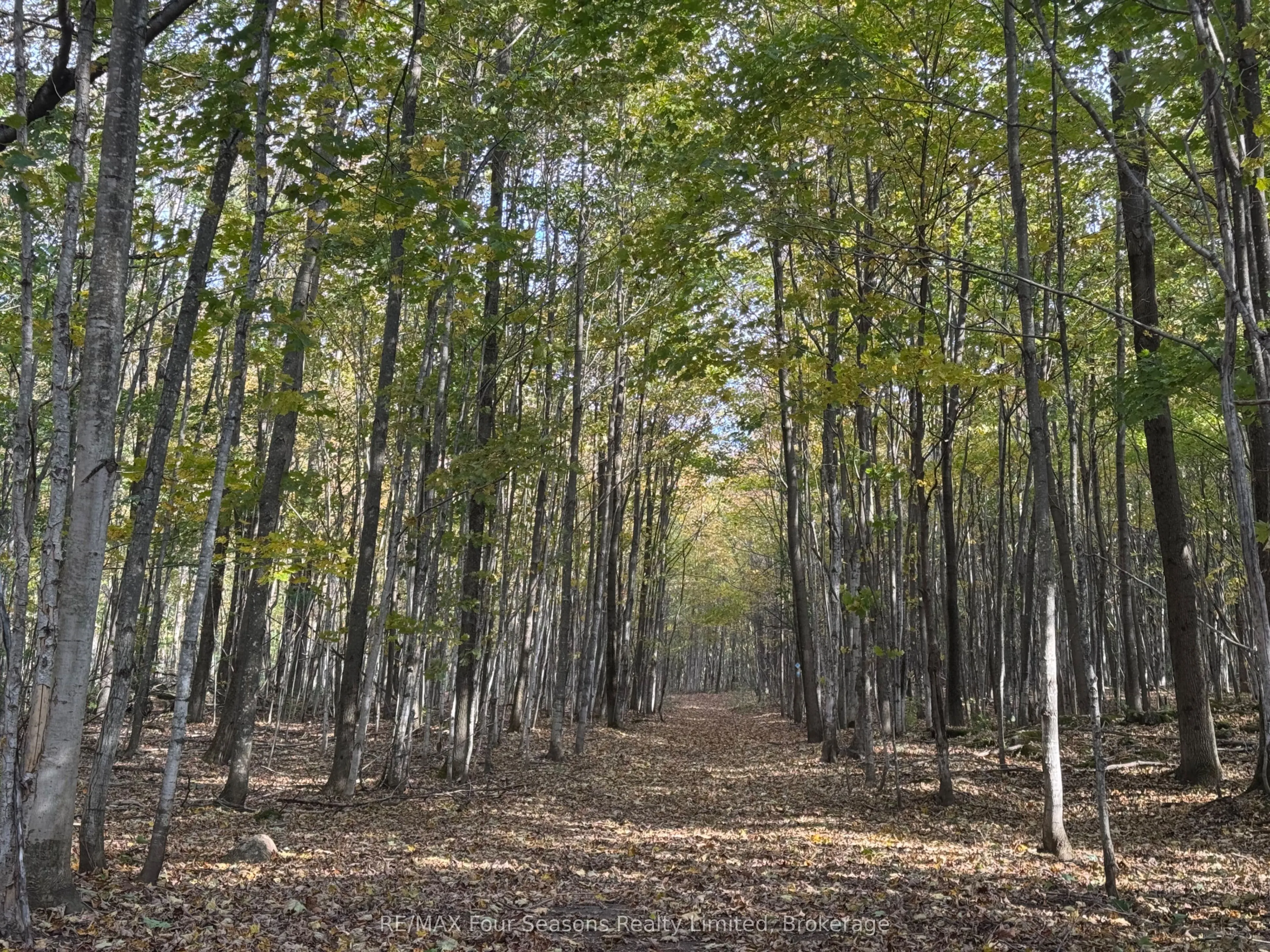 North 1/2 Lot 25 St Vincent Sydenham Townline N