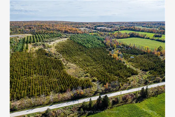 North 1/2 Lot 25 St Vincent Sydenham Townline N