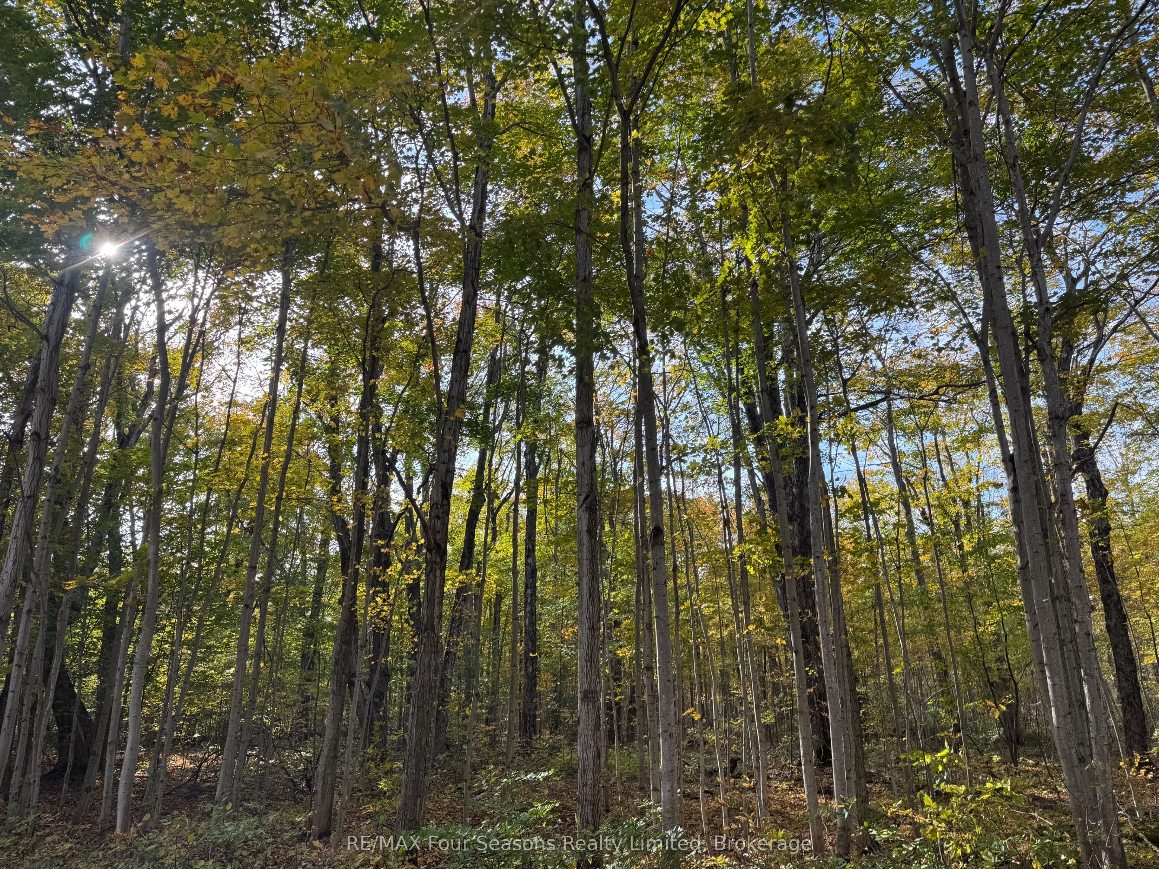 North 1/2 Lot 25 St Vincent Sydenham Townline N