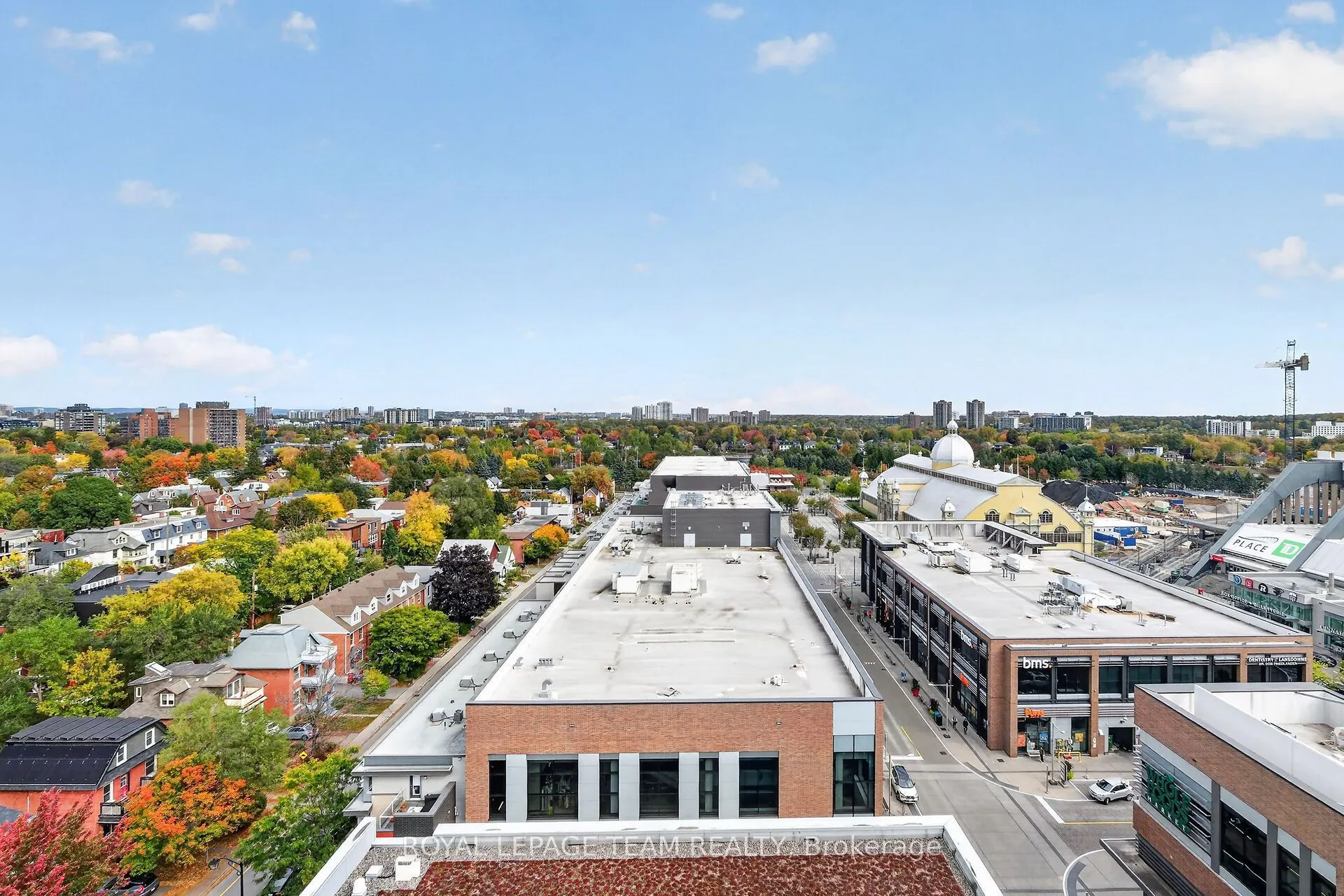 118 Holmwood Avenue #1102