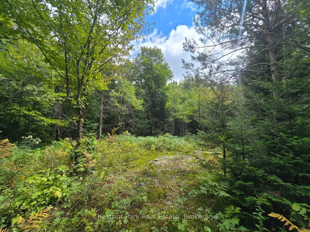 00 Old Track Road