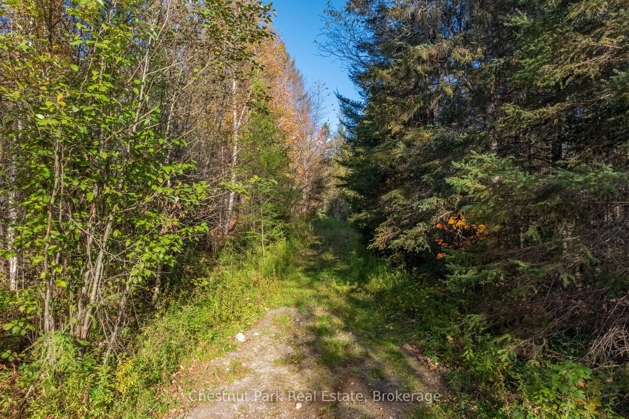 00 Old Track Road