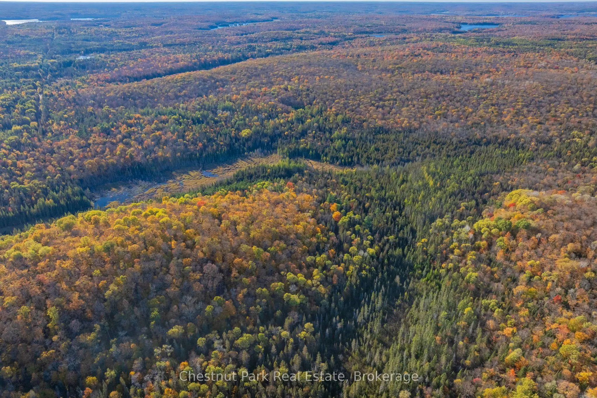 00 Old Track Road