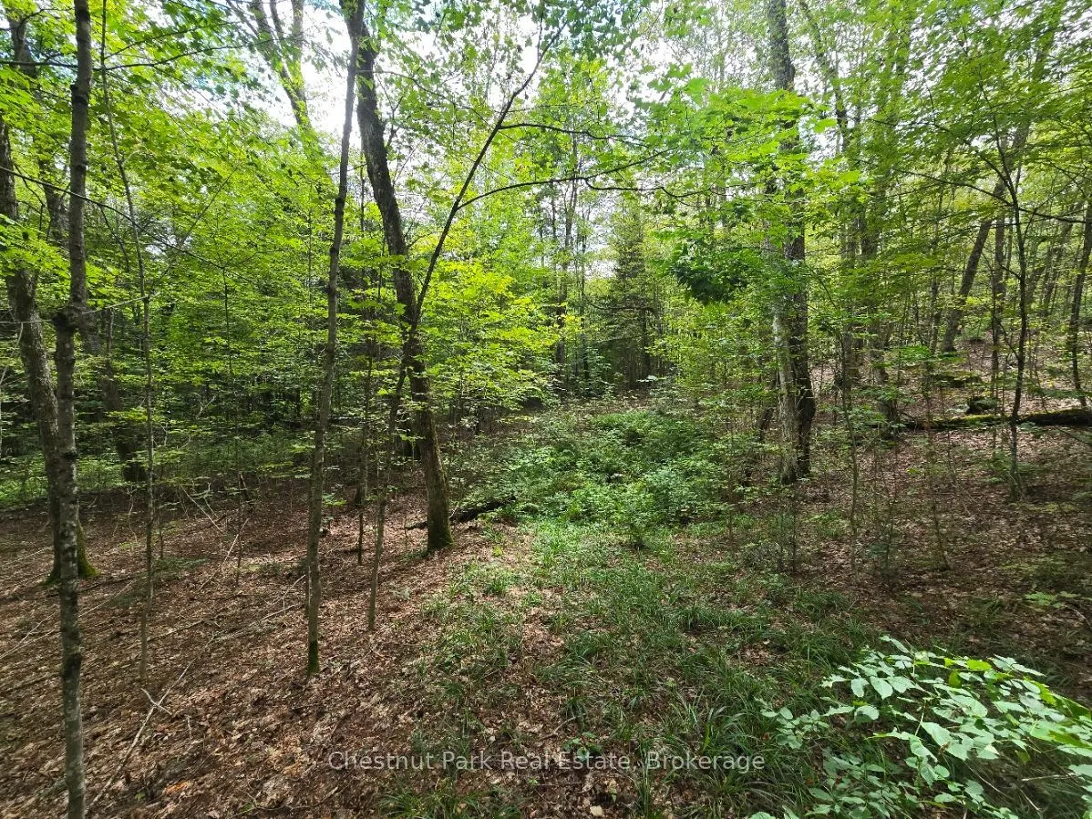00 Old Track Road