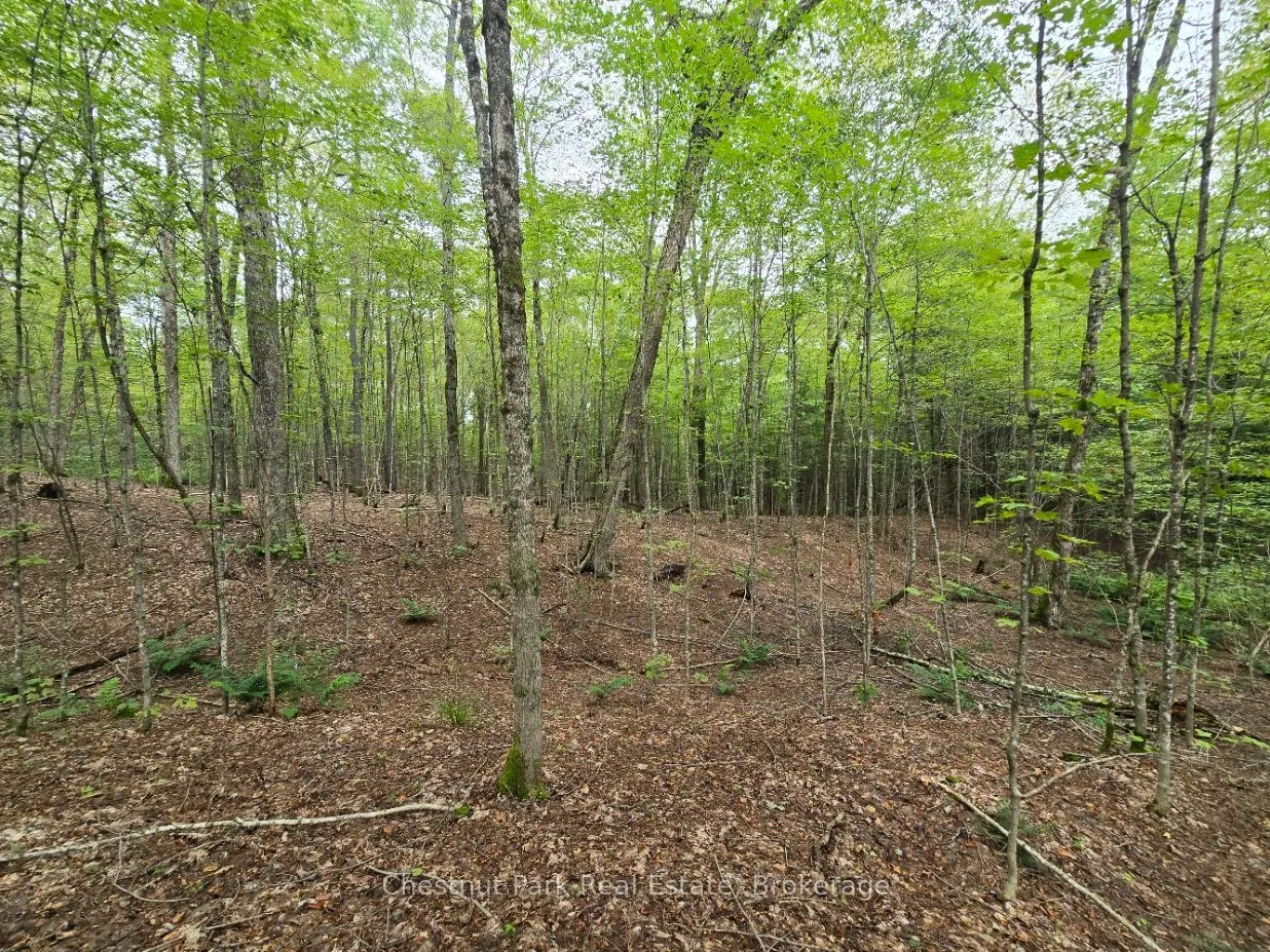 00 Old Track Road