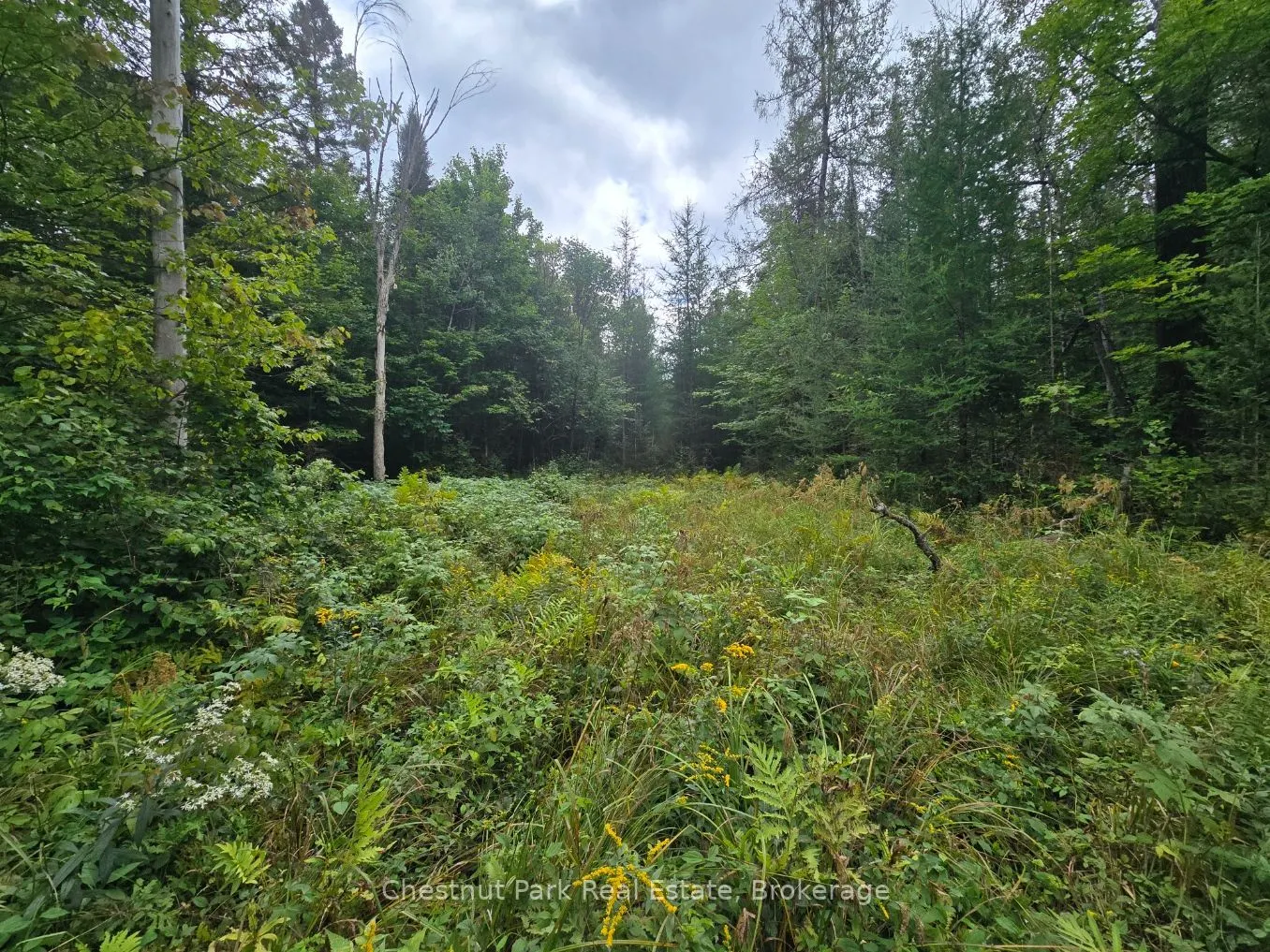 00 Old Track Road