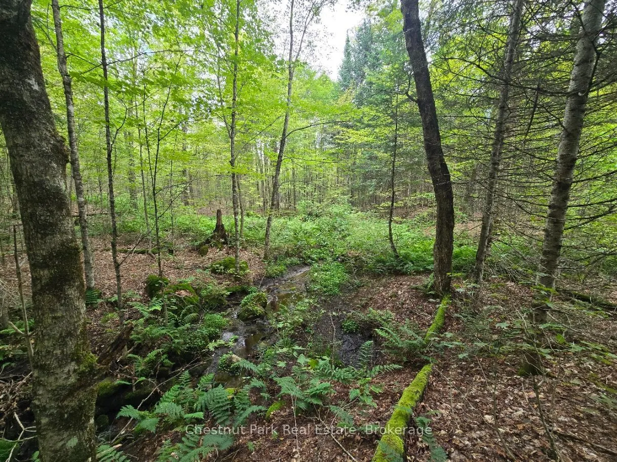 00 Old Track Road
