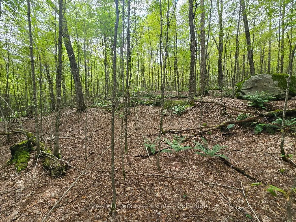 00 Old Track Road