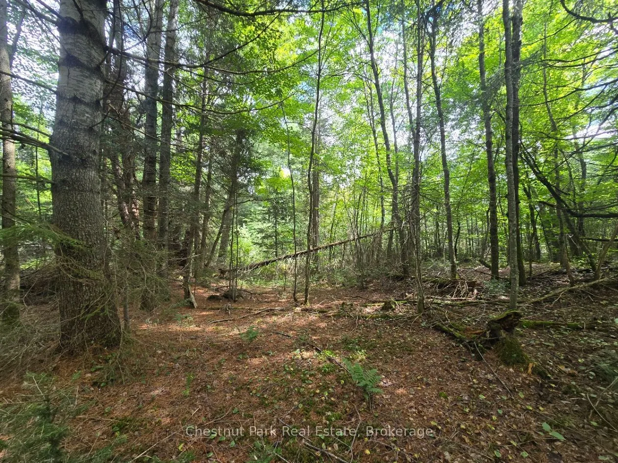 00 Old Track Road