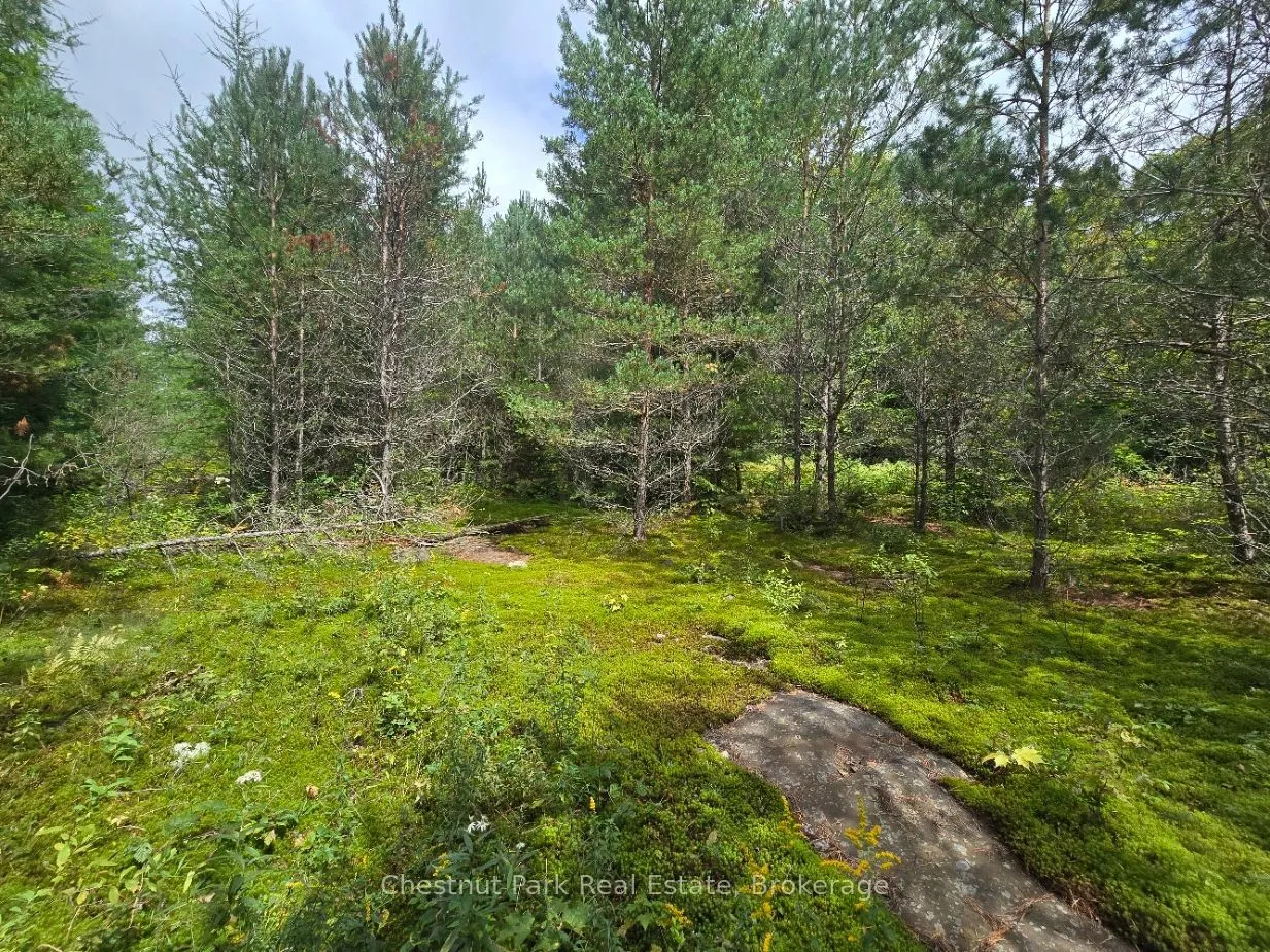 00 Old Track Road