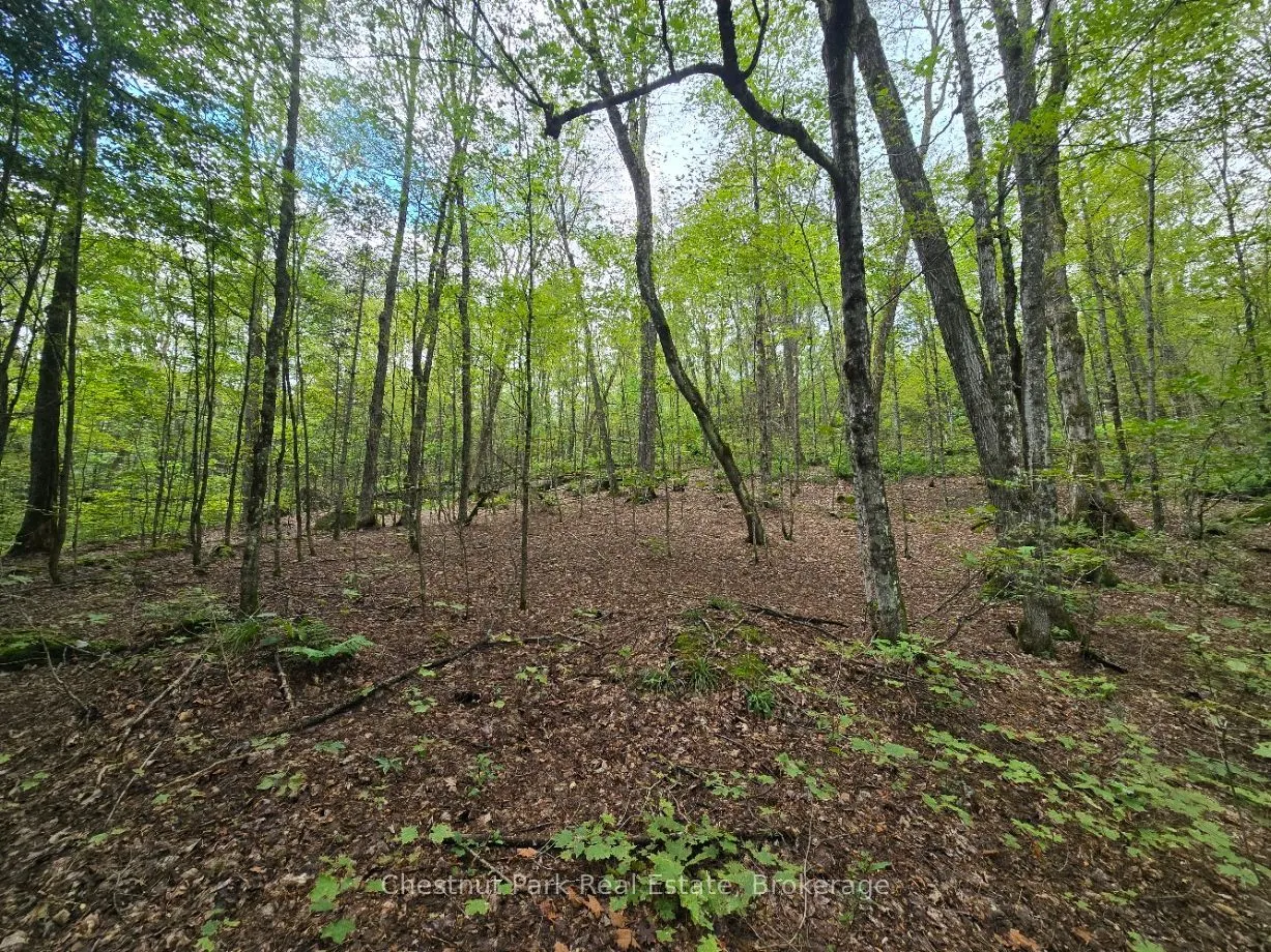 00 Old Track Road