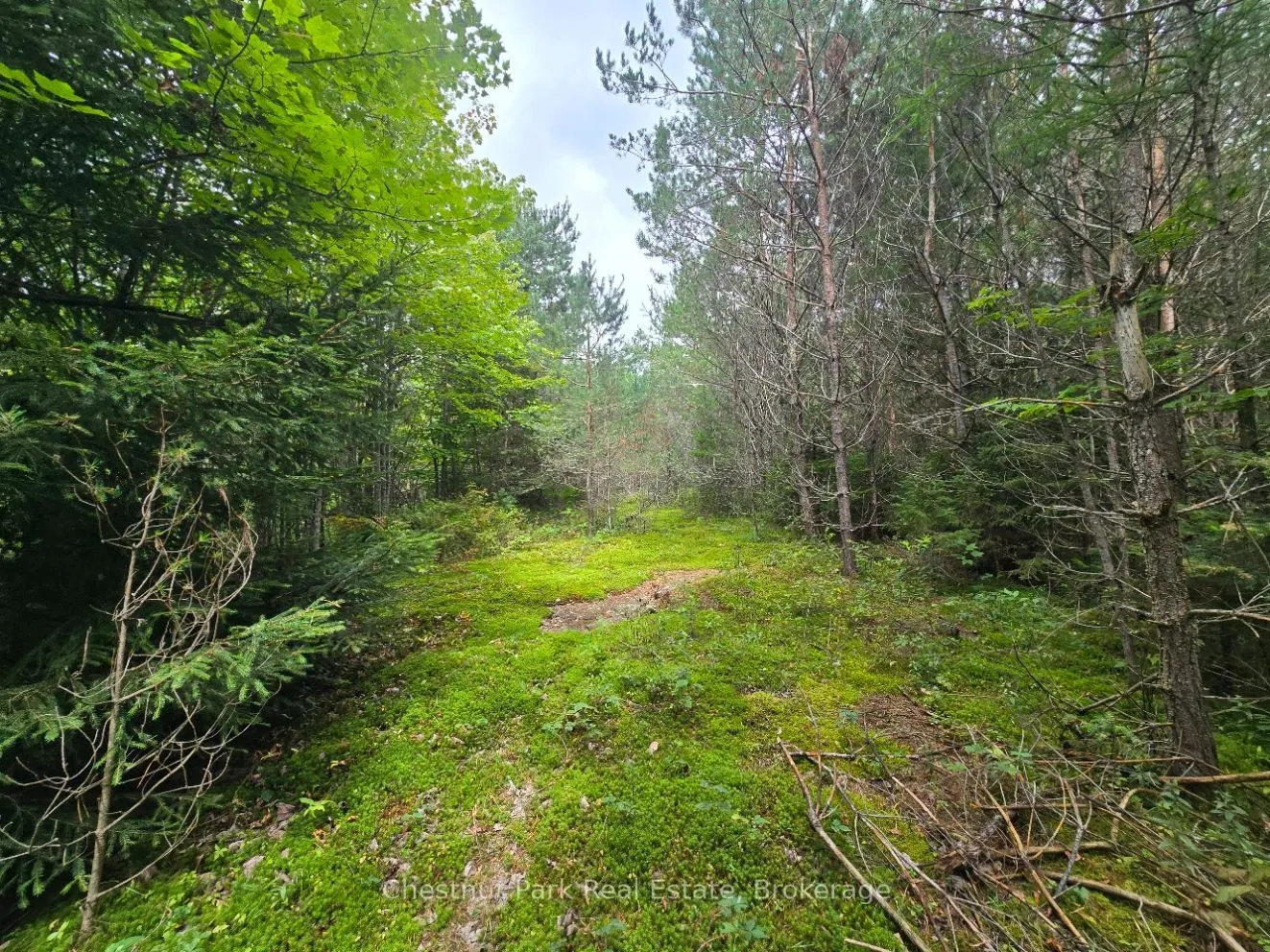 00 Old Track Road