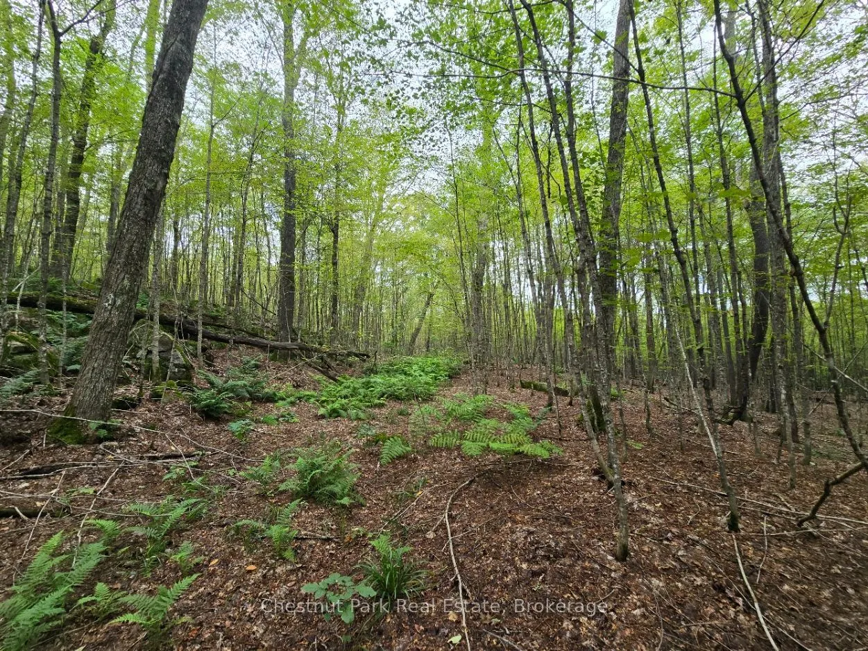 00 Old Track Road